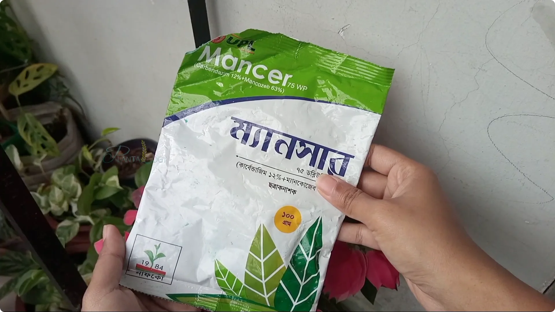 How to Effectively Treat Fungus on Your Plants screenshot 8