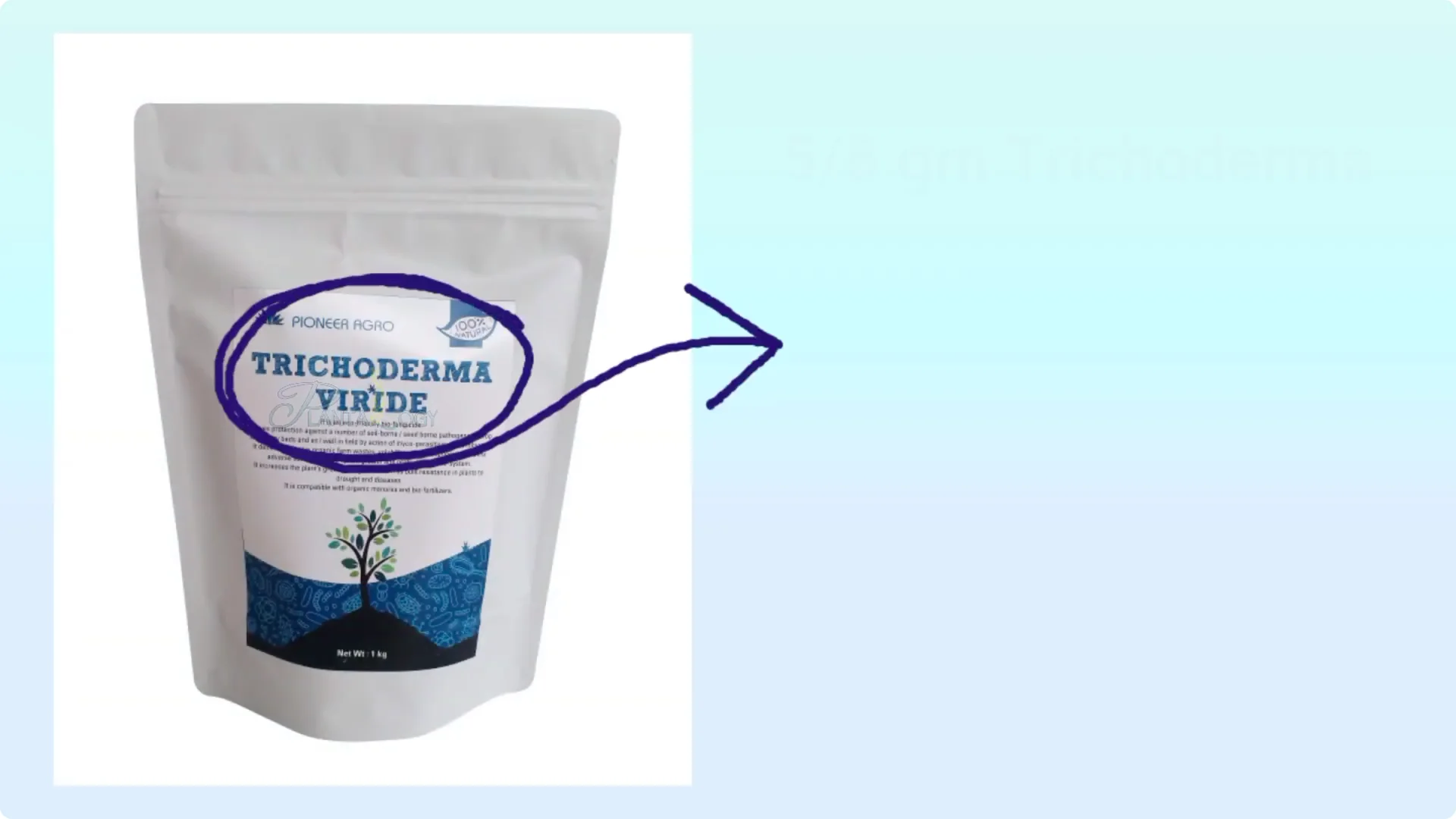 How to Effectively Treat Fungus on Your Plants screenshot 9