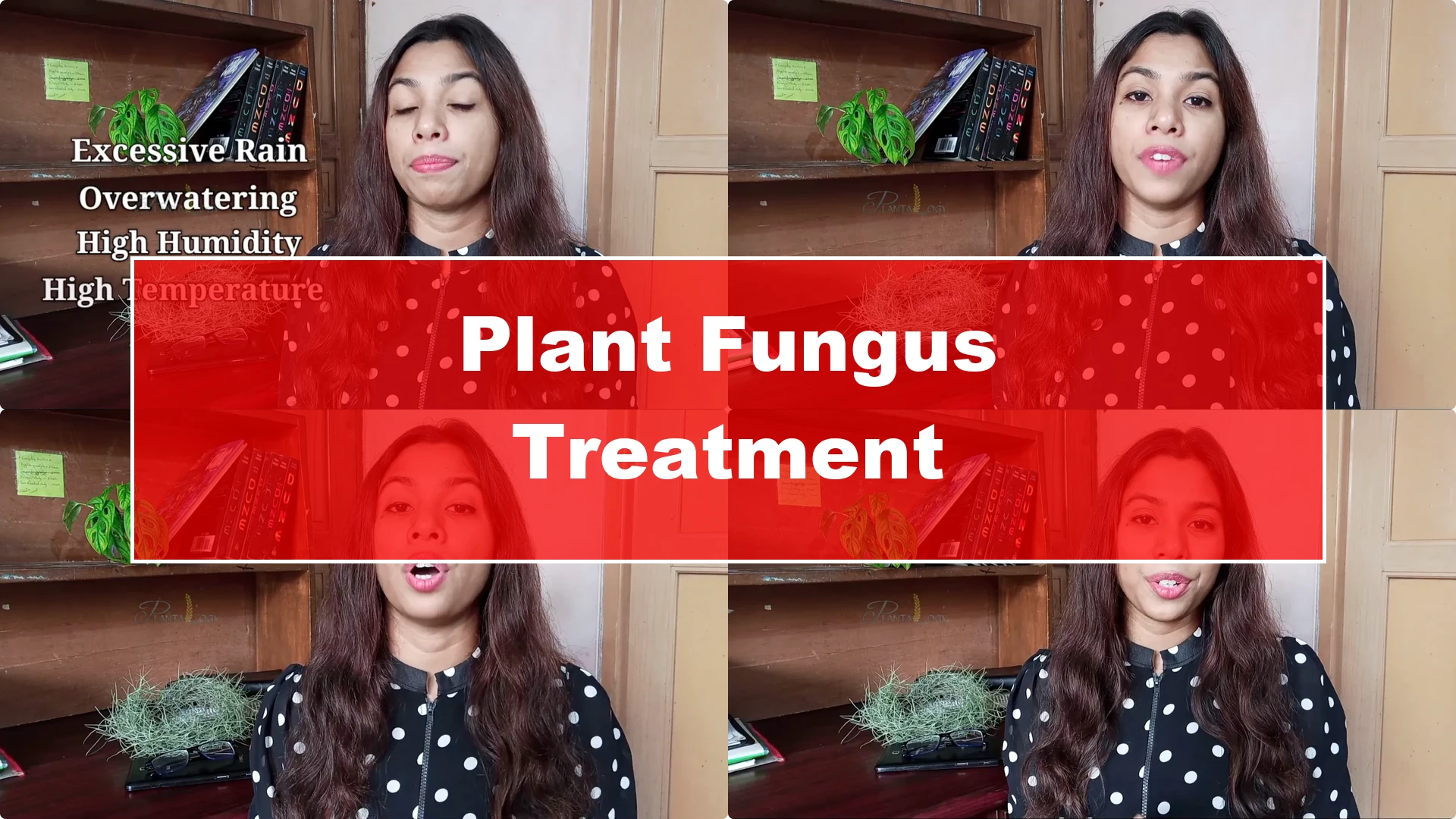 How to Effectively Treat Fungus on Your Plants - Featured Image