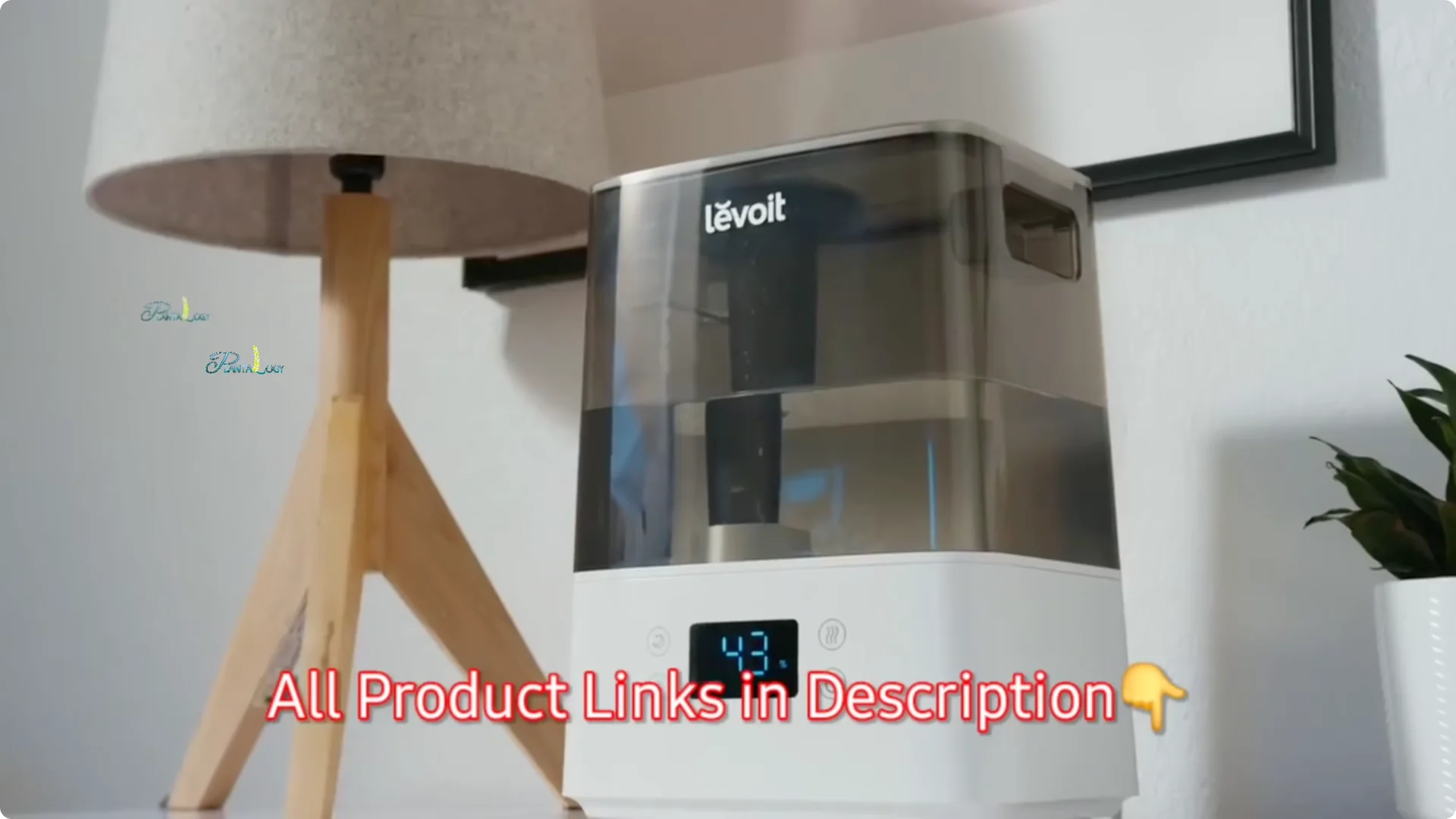 How to Prevent Brown Tips on Spider Plants After Winter screenshot 10