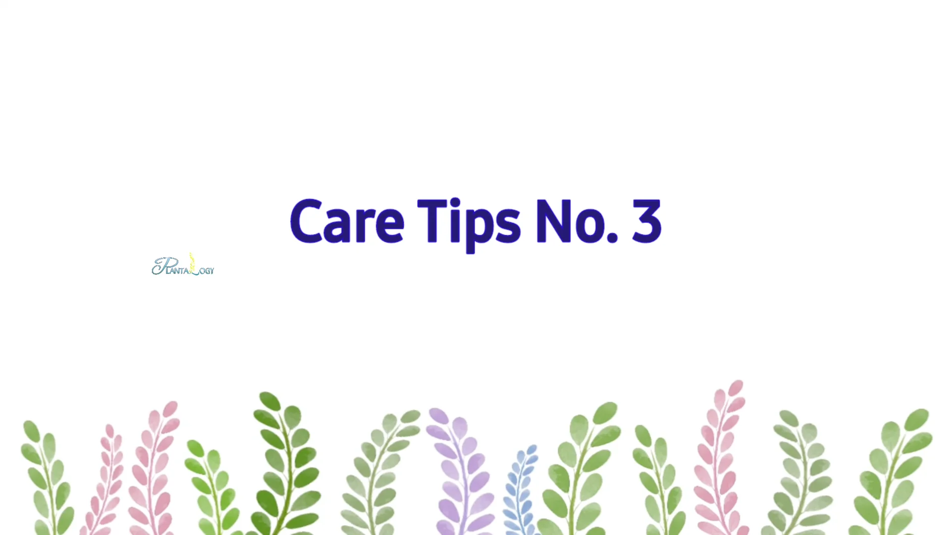 How to Prevent Leaf Drop on Your Fiddle Leaf Fig Plant screenshot 3