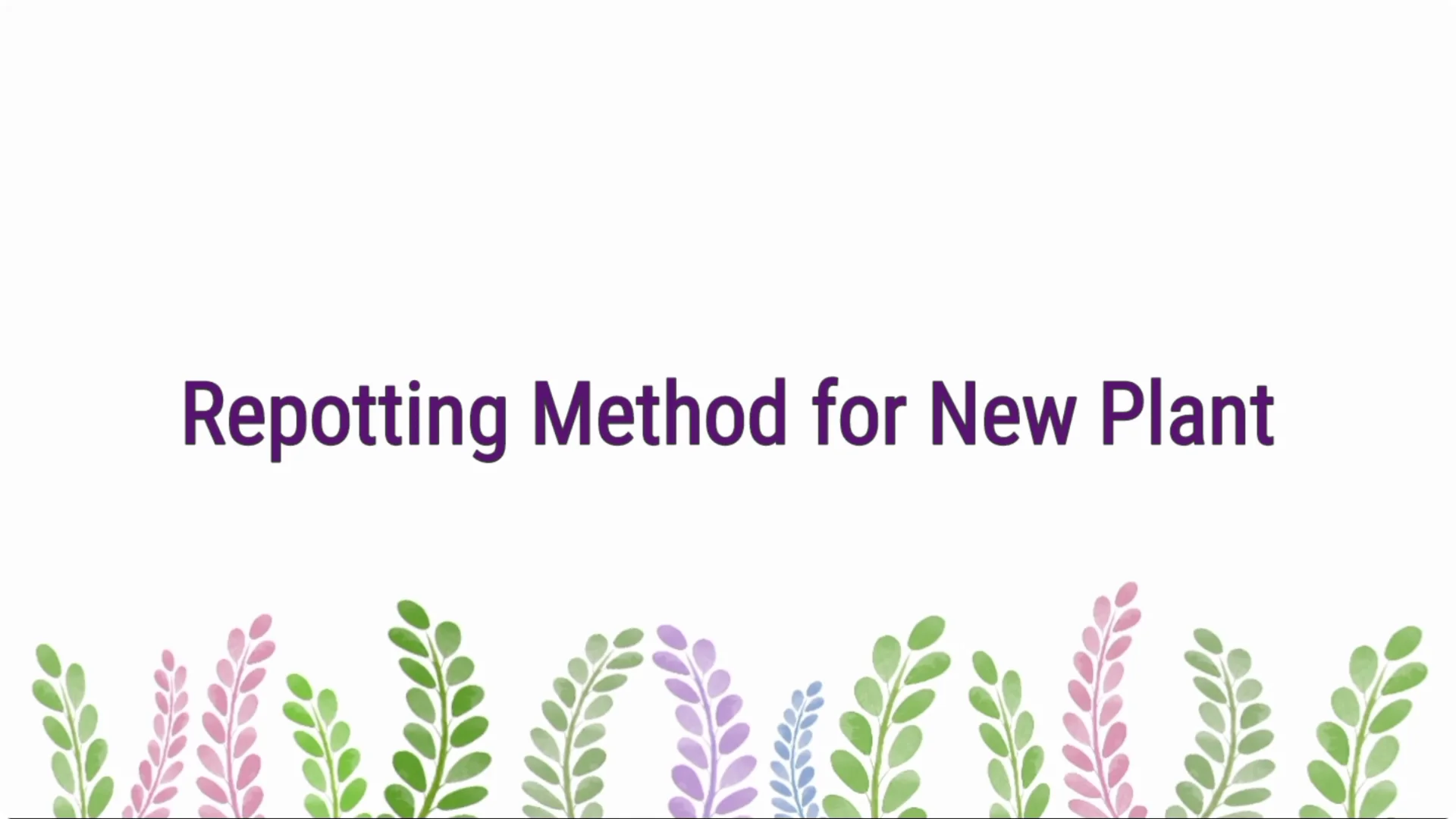 How to Revive a Dying Plant After Repotting Successfully screenshot 4