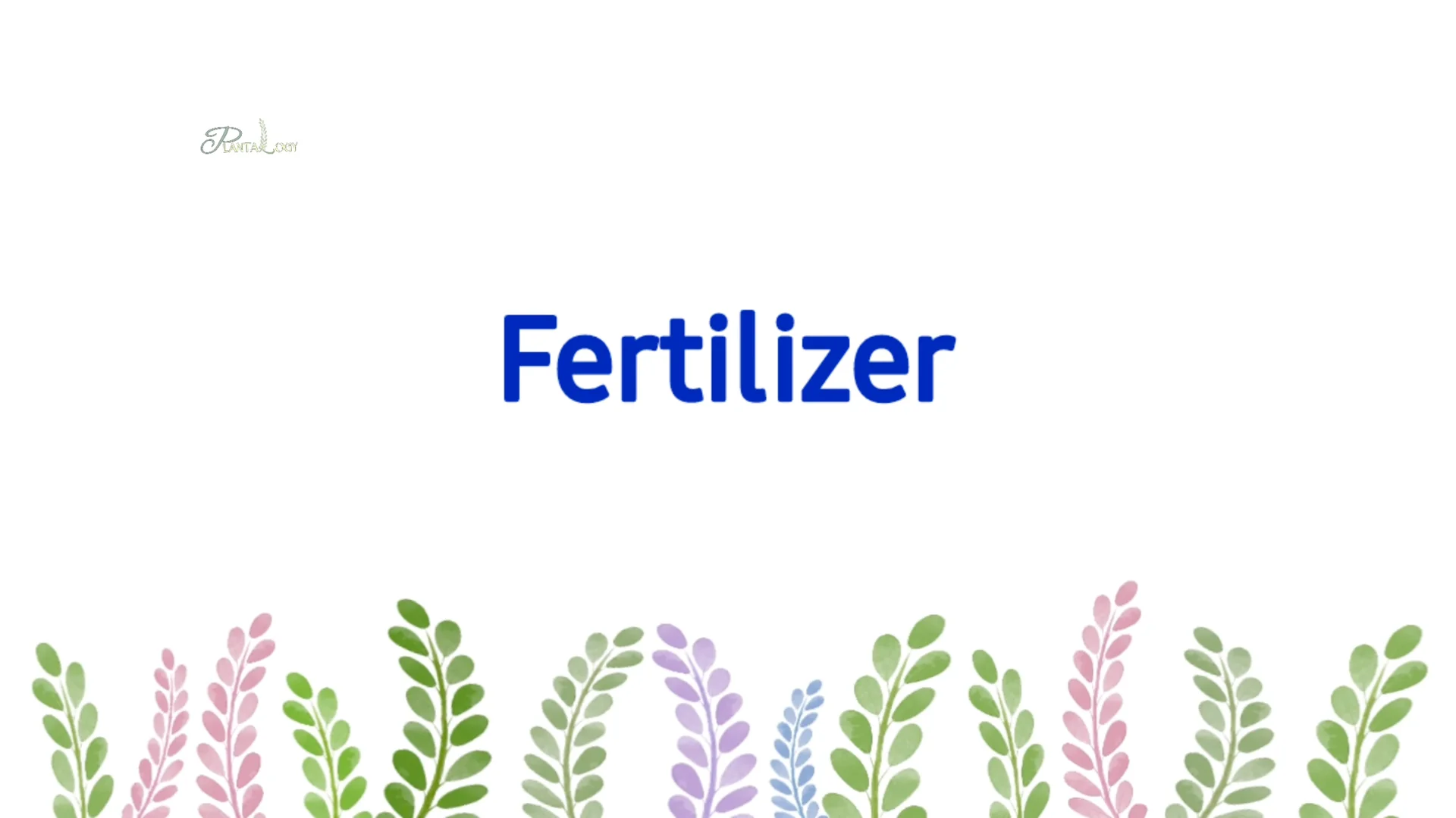 How to Revive a Dying Snake Plant Indoors screenshot 11