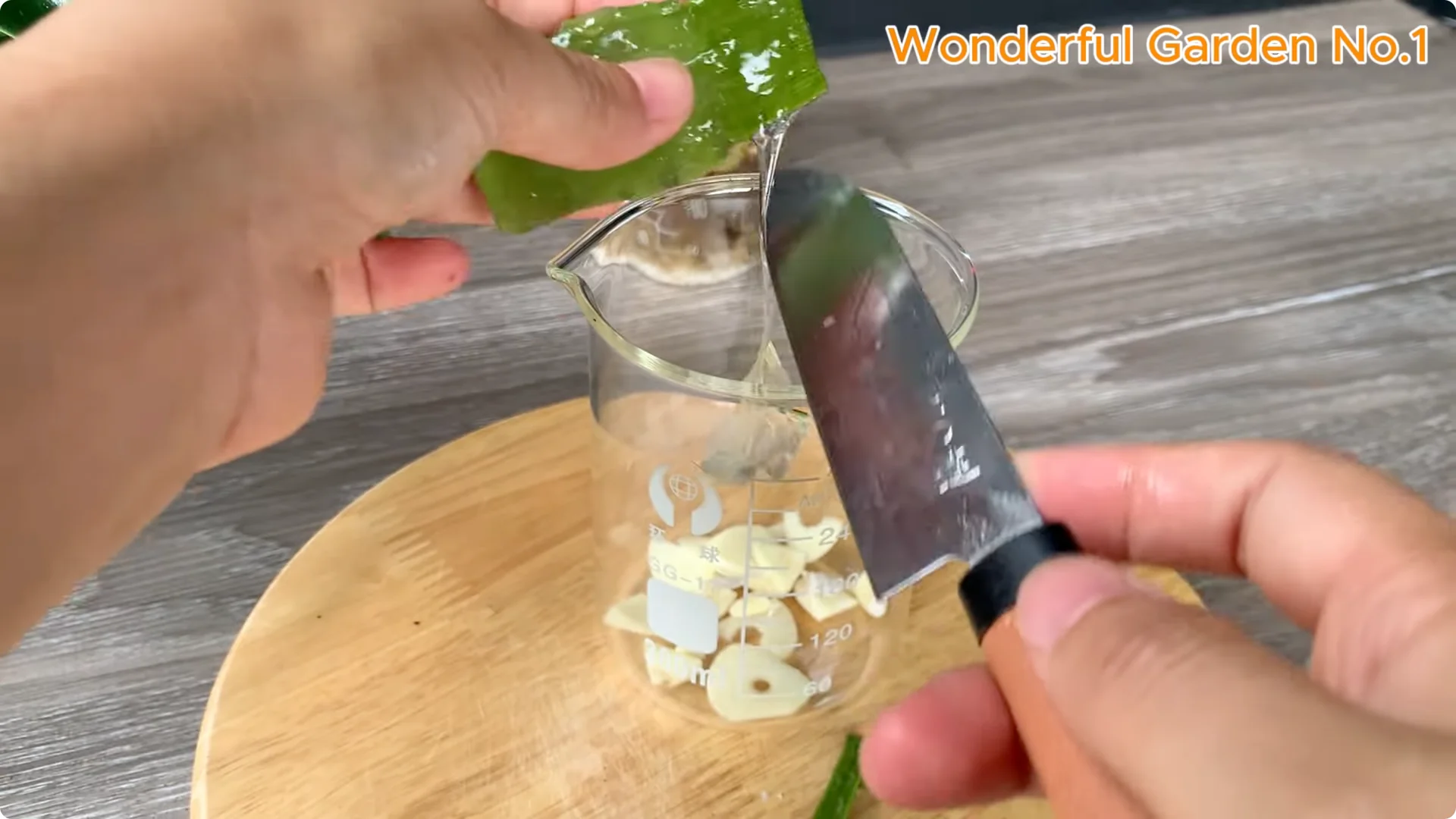 How to Root Any Rose Branch Without Spending a Dime screenshot 4