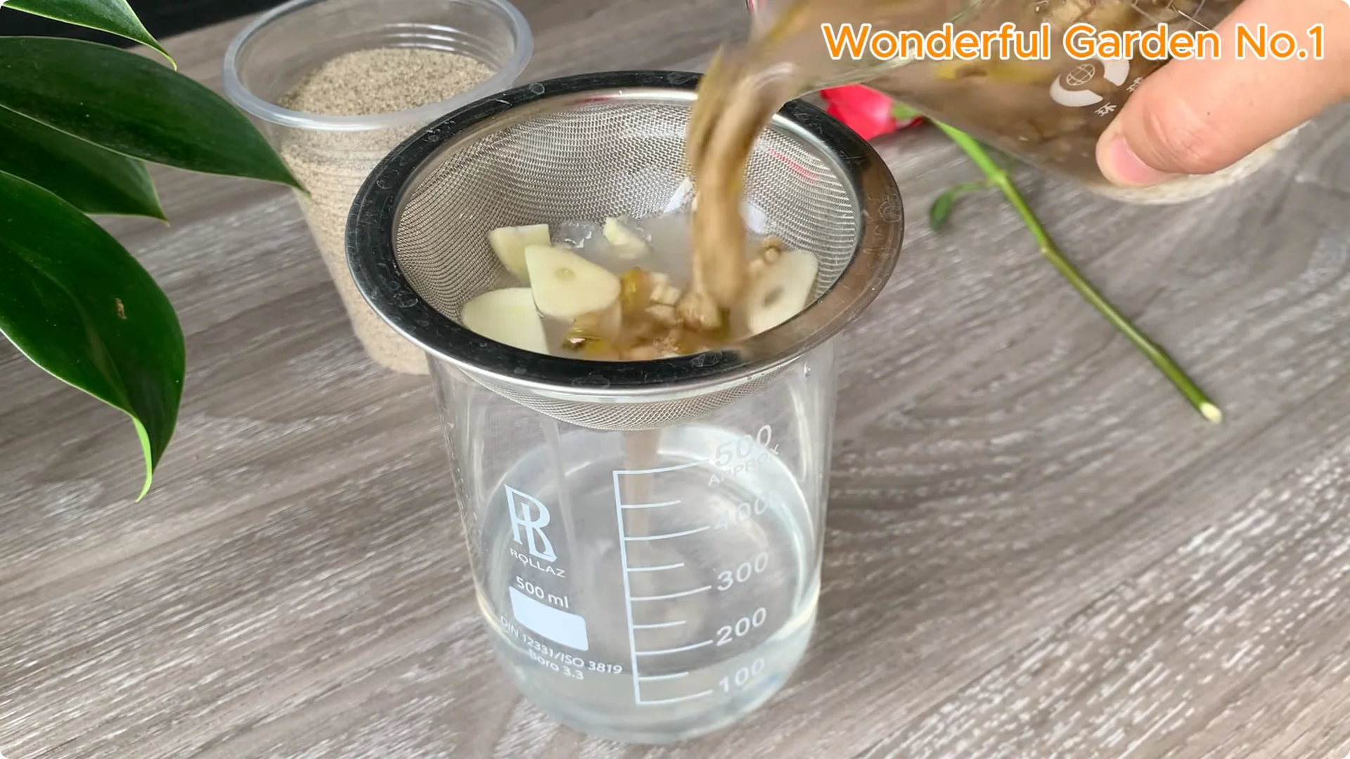 How to Root Any Rose Branch Without Spending a Dime screenshot 5