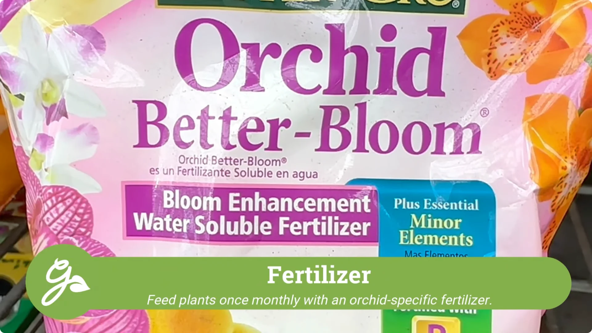 Orchid Care for Beginners: Easy Tips to Help Them Thrive screenshot 15
