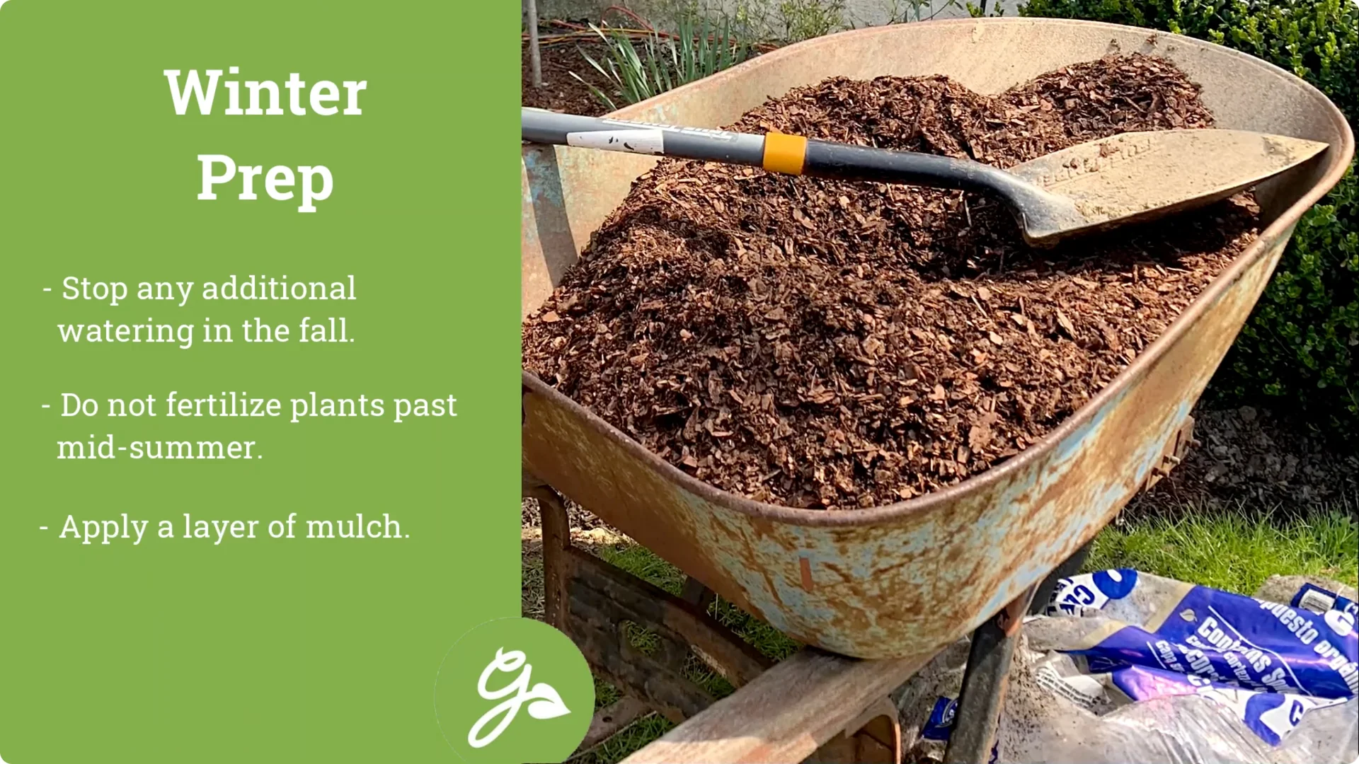 Secrets to Growing Healthy, Blooming Azaleas All Year screenshot 14