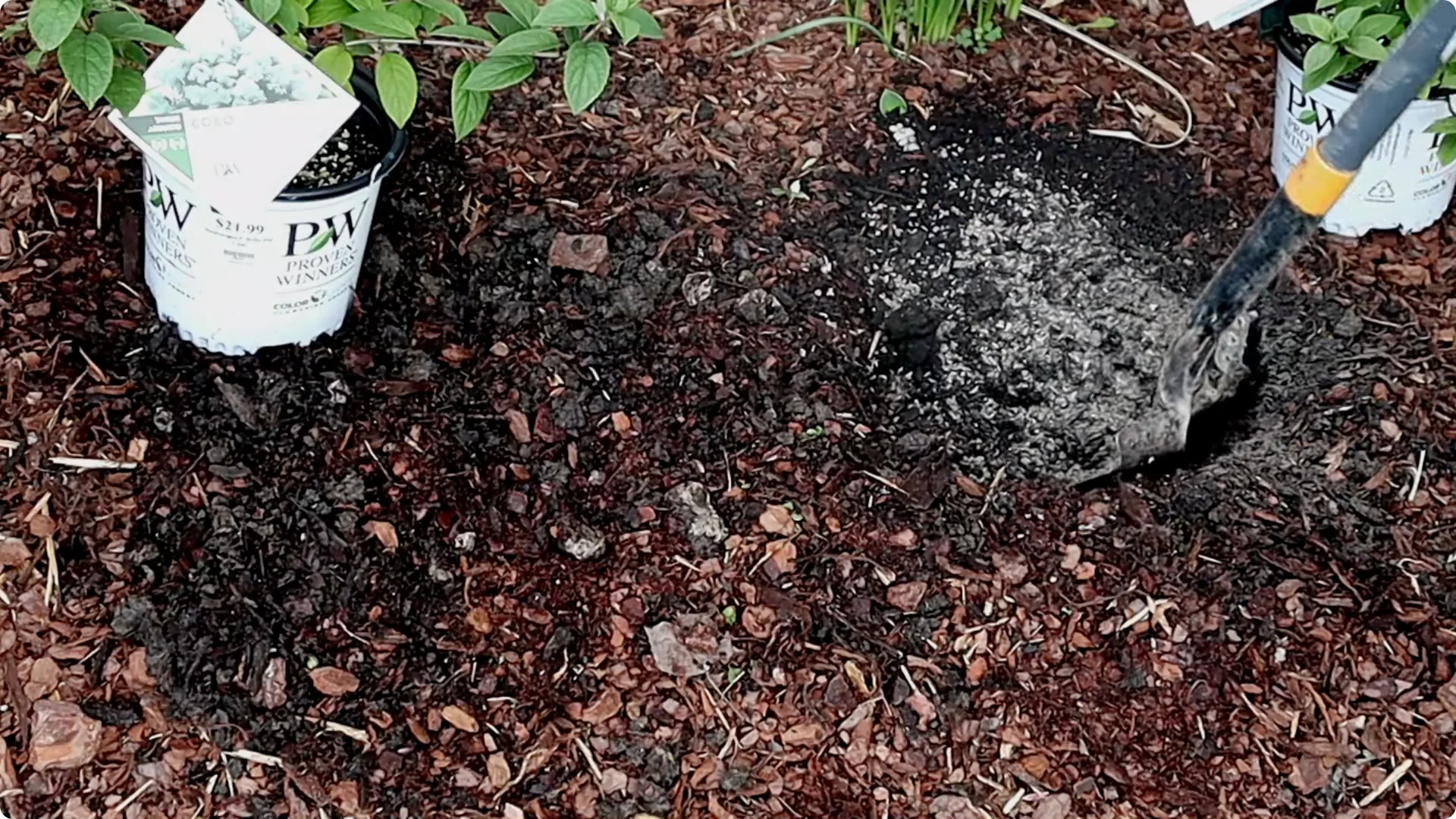 Secrets to Growing Healthy, Blooming Azaleas All Year screenshot 9