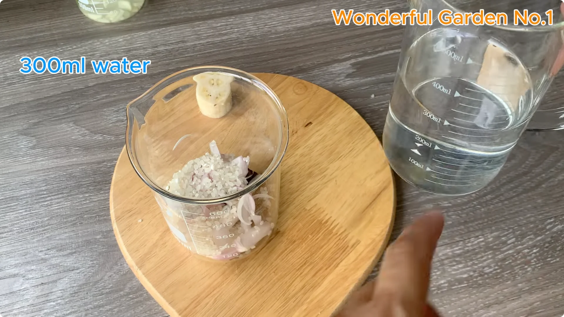 The Fastest Rose Propagation Method Few Gardeners Know screenshot 3