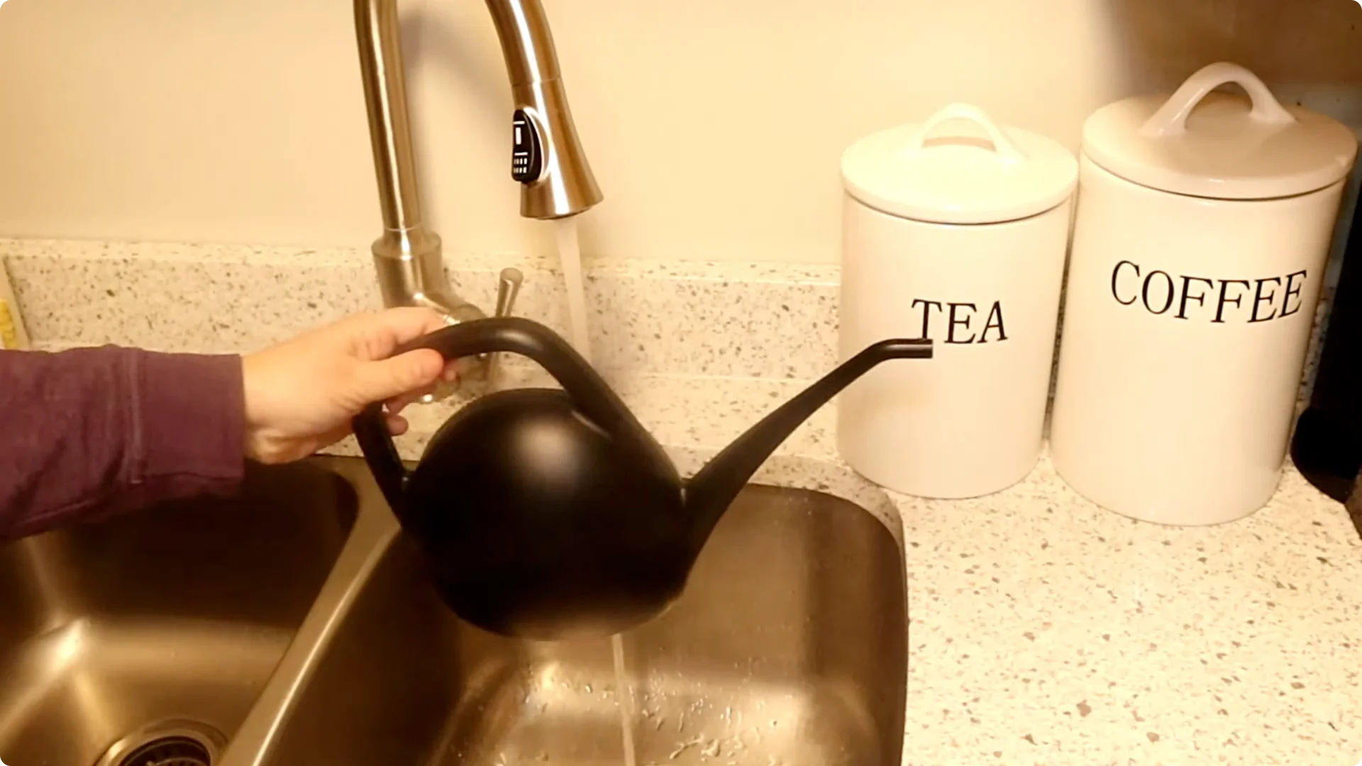 Top 10 Hard-to-Kill Houseplants for Easy Home or Office Care screenshot 17