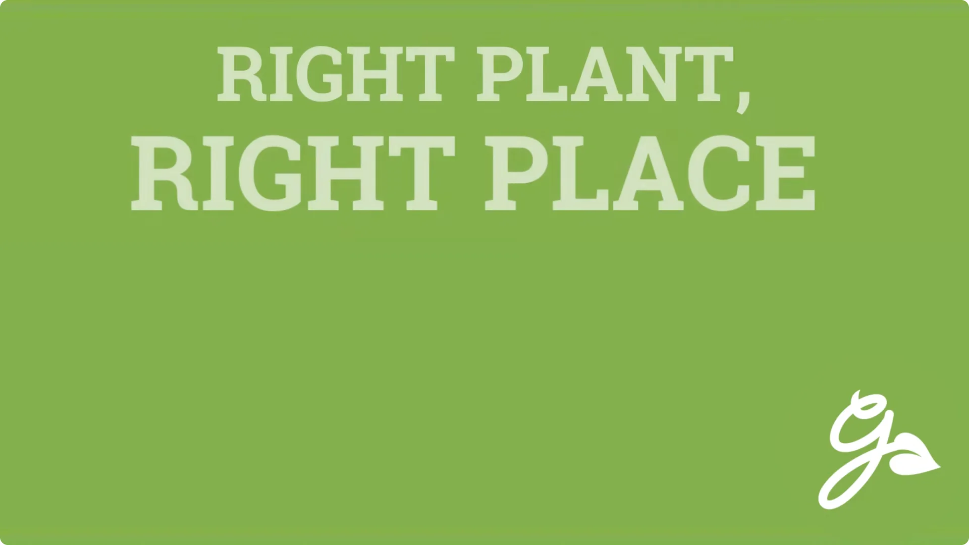 Top Companion Plants to Extend Your Coneflower Blooms screenshot 3