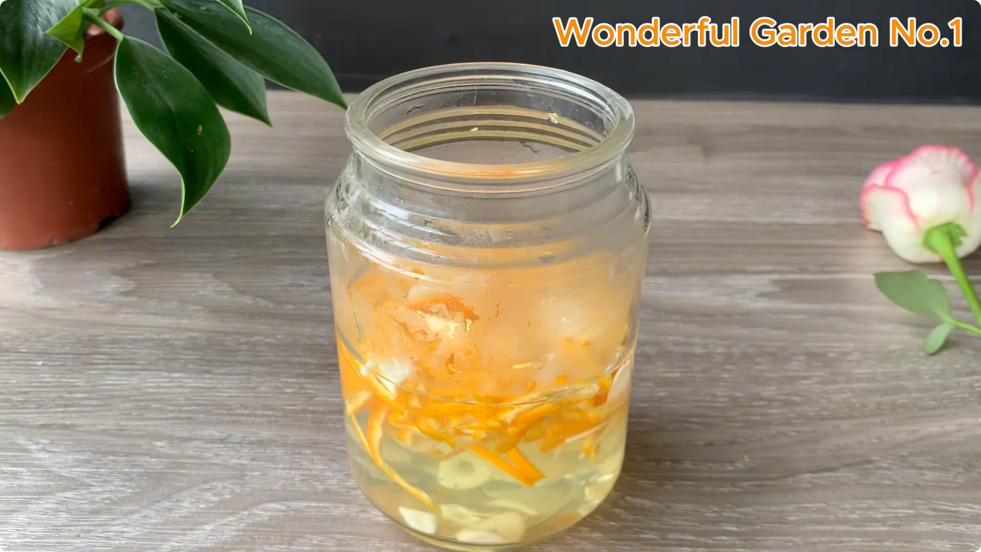 What Happens When You Put a Rose Branch in Water Overnight? screenshot 2