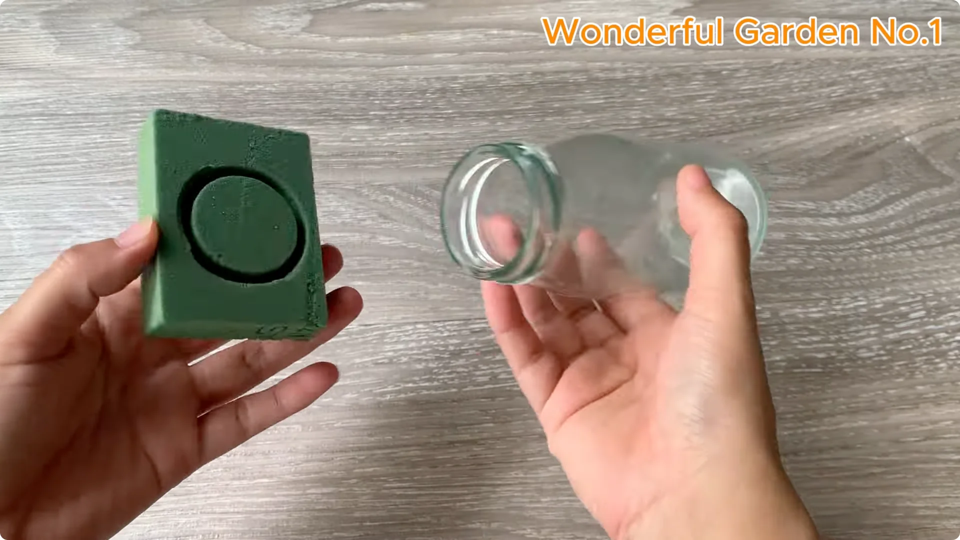 What Happens When You Put a Rose Branch in Water Overnight? screenshot 5