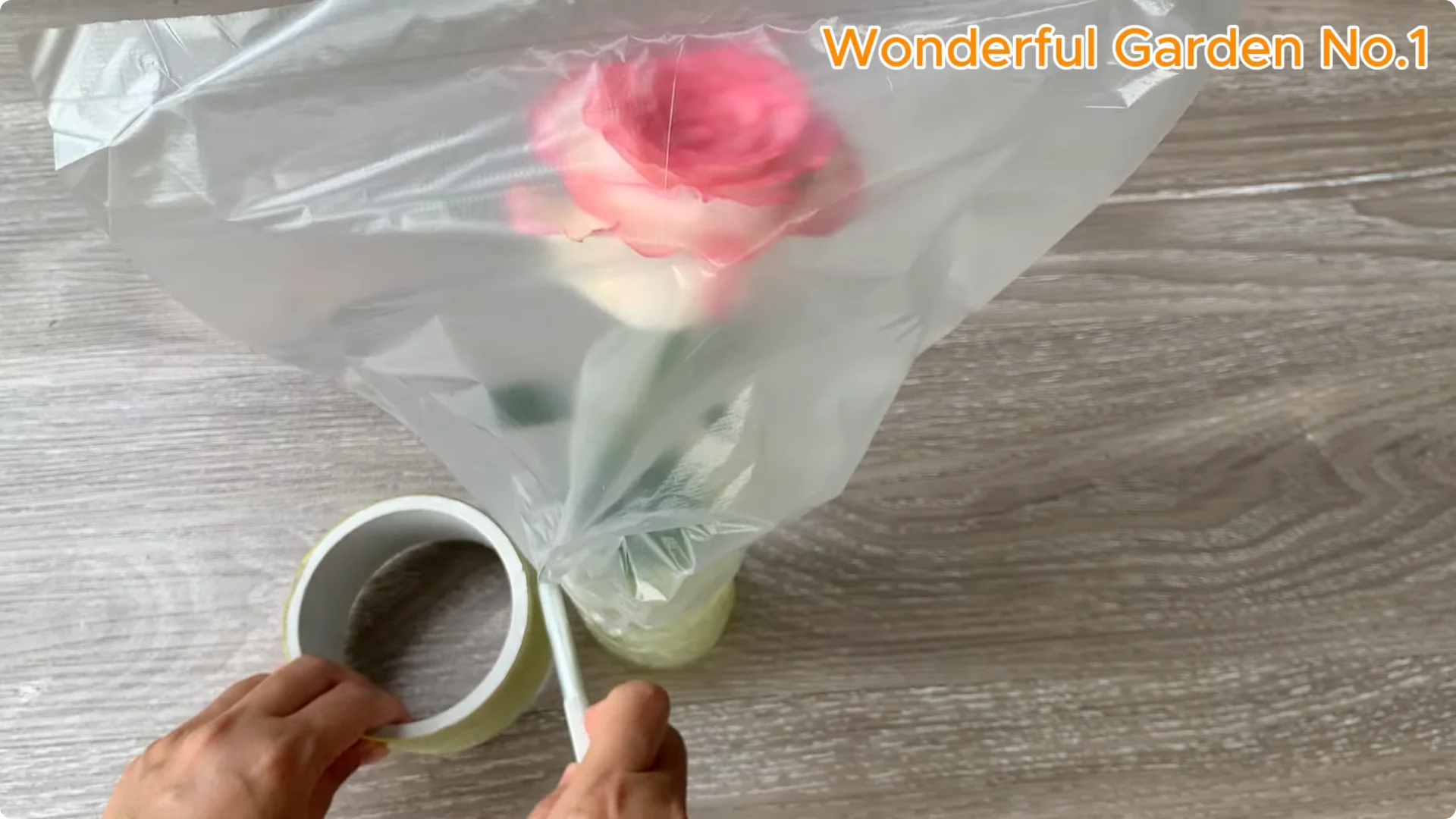 What Happens When You Put a Rose Branch in Water Overnight? screenshot 6