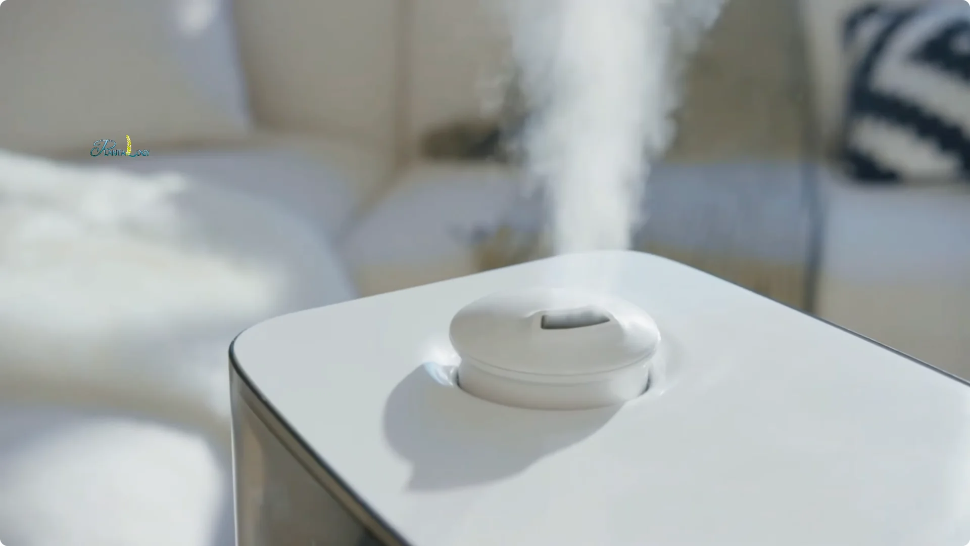 Why Are My Peace Lily Leaves Turning Yellow? 4 Key Fixes screenshot 7