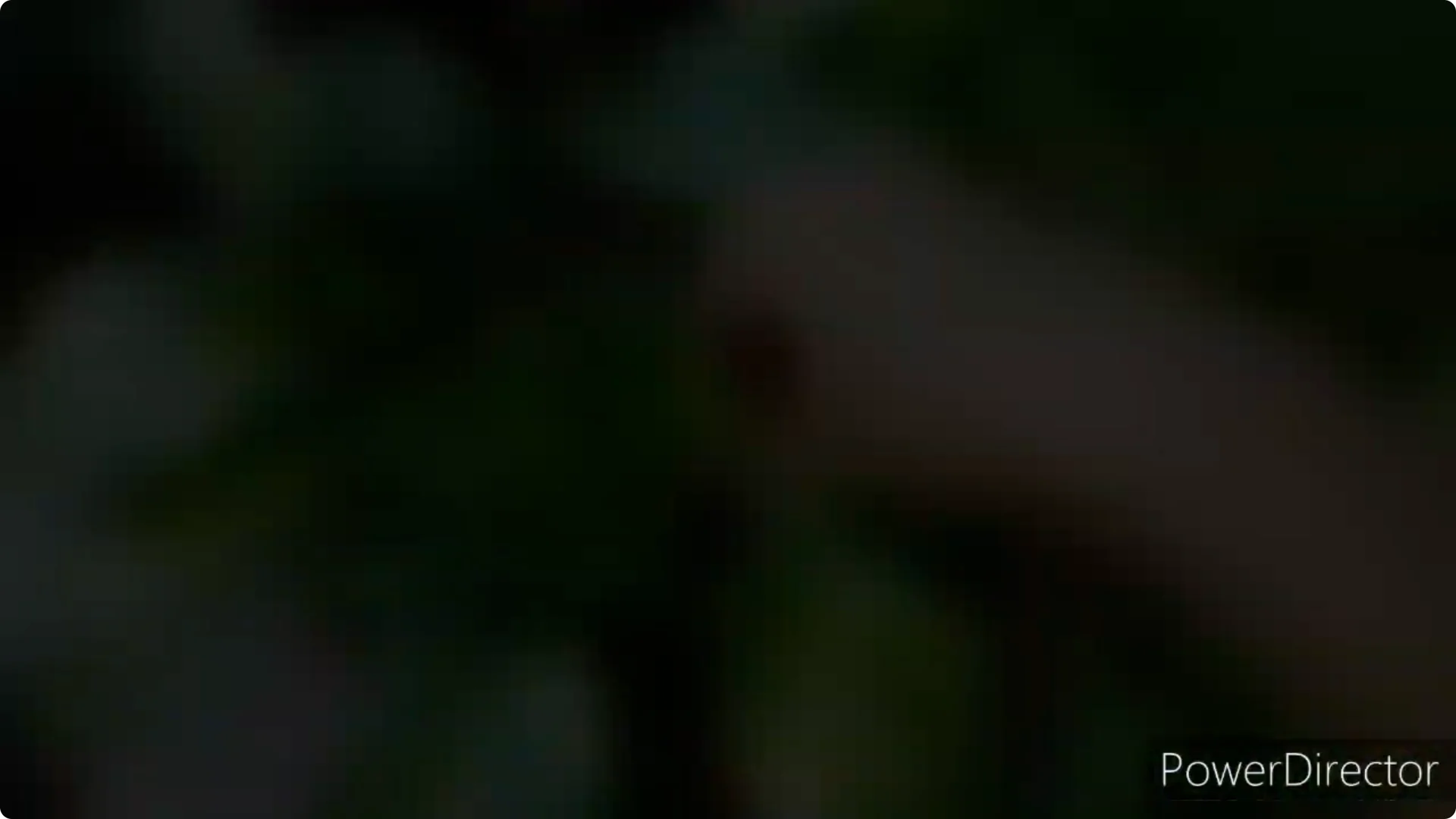 Why Are My Pothos Leaf Tips Turning Brown? Causes & Fixes screenshot 10