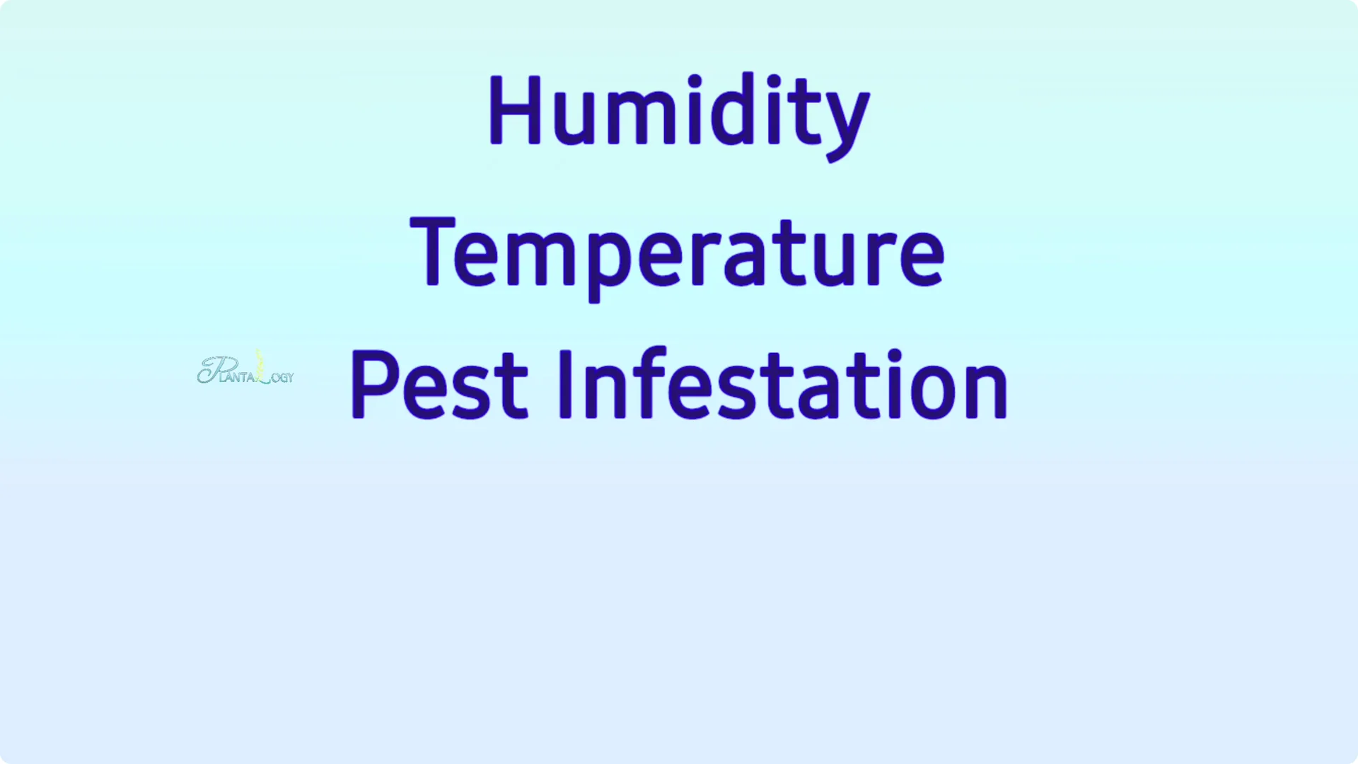 Why Are Your Areca Palm Leaves Turning Brown? screenshot 7