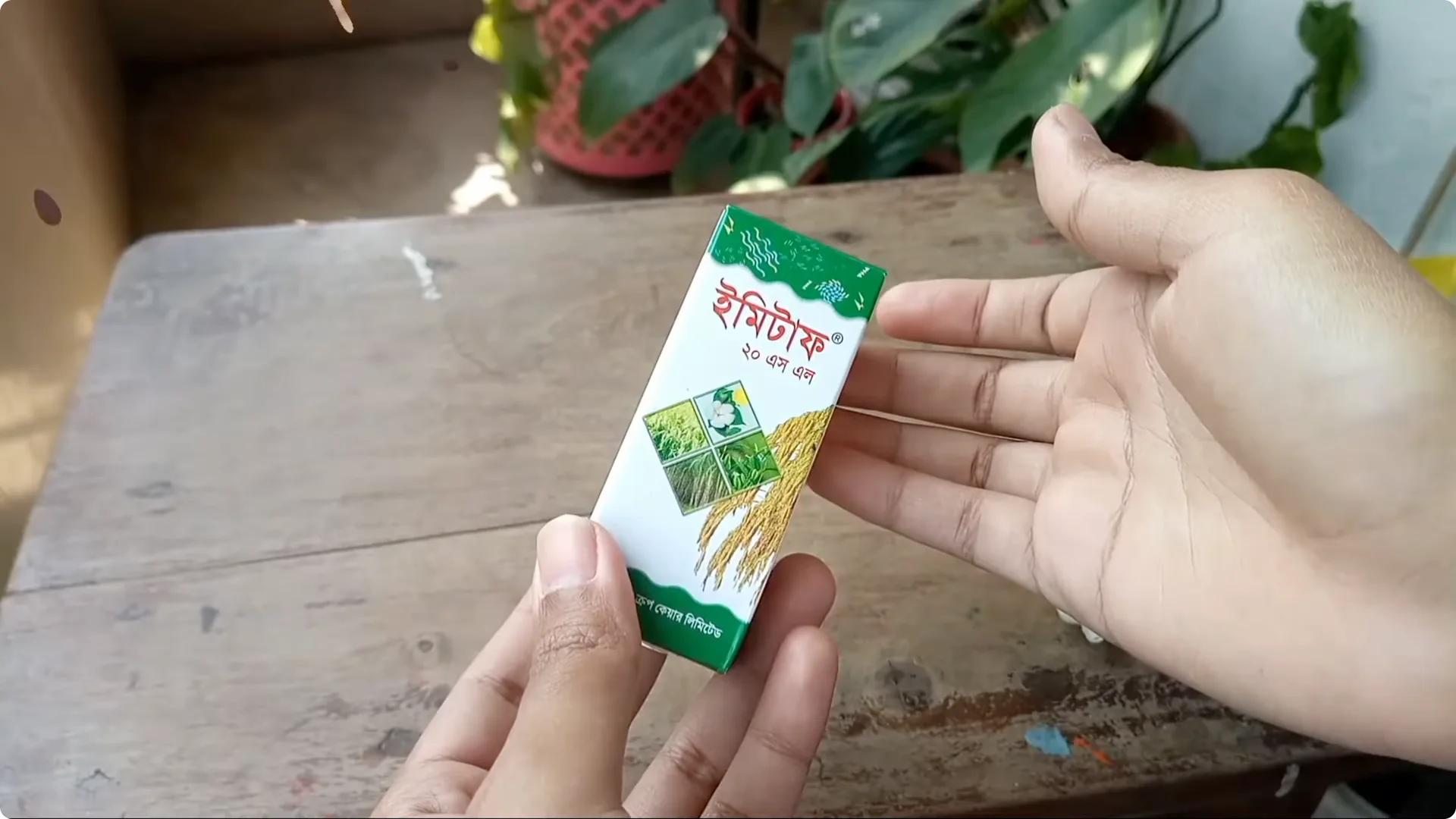 Why Are Your Succulent Plants Struggling to Survive? screenshot 8