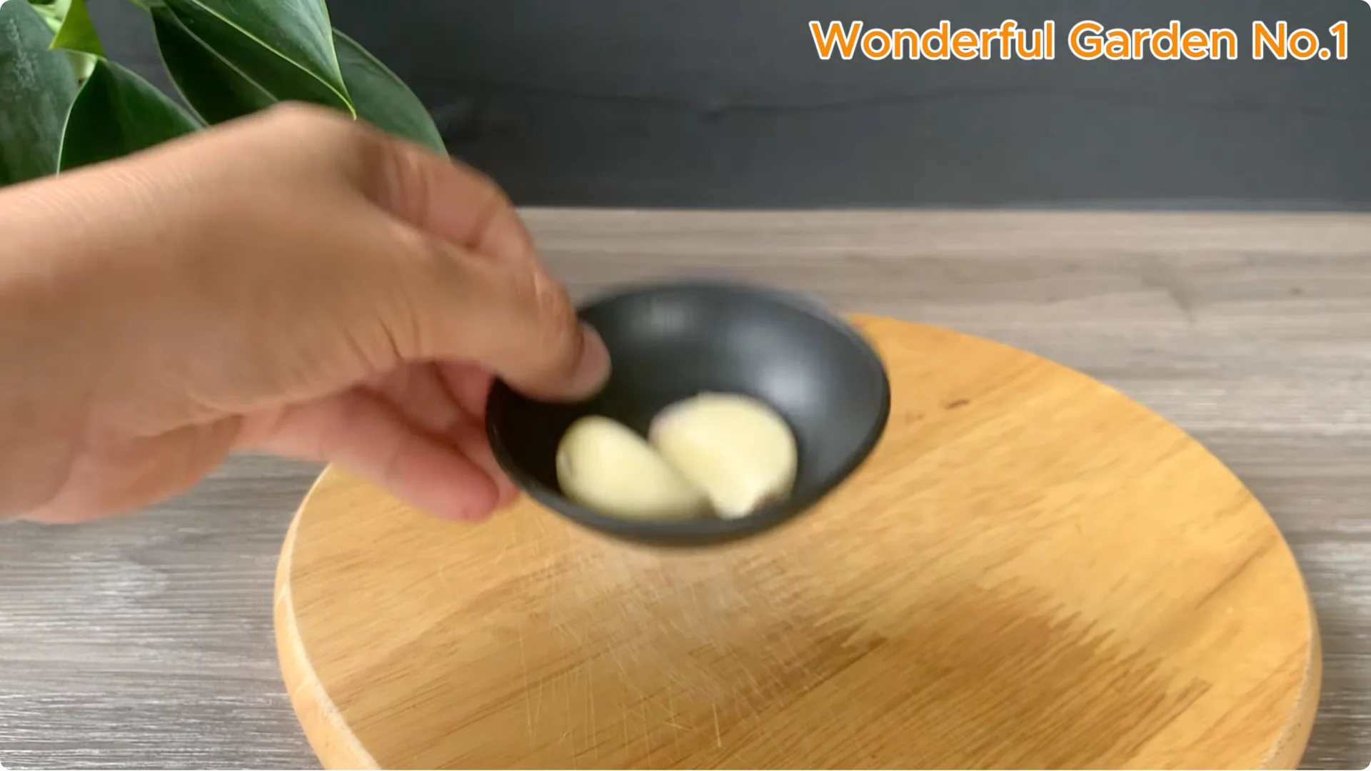 Why Is Just Lemon's Hip Branch Blooming So Beautifully? screenshot 1