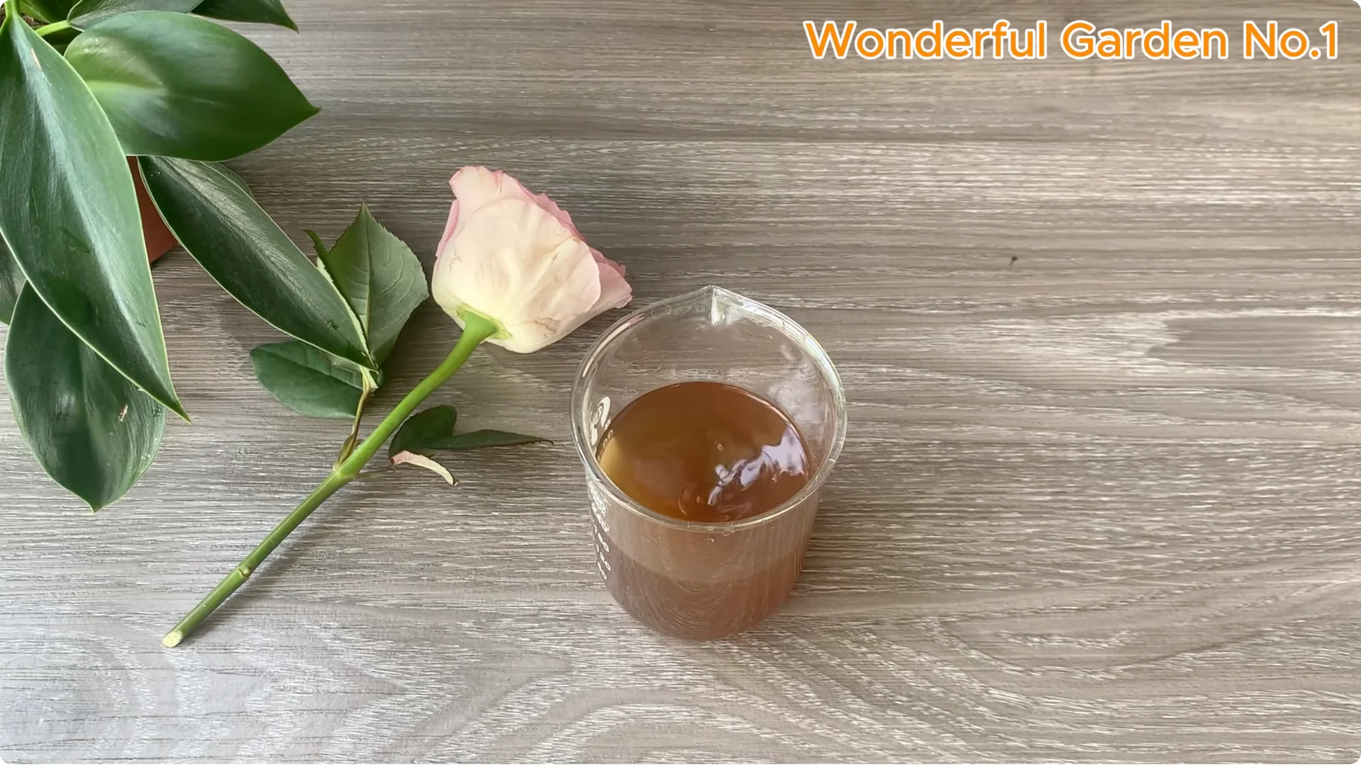 Why Is Just Lemon's Hip Branch Blooming So Beautifully? screenshot 14