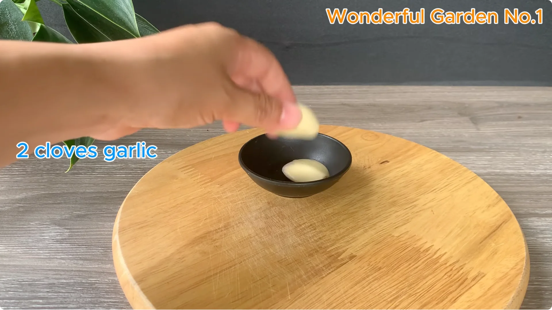 Why Is Just Lemon's Hip Branch Blooming So Beautifully? screenshot 2