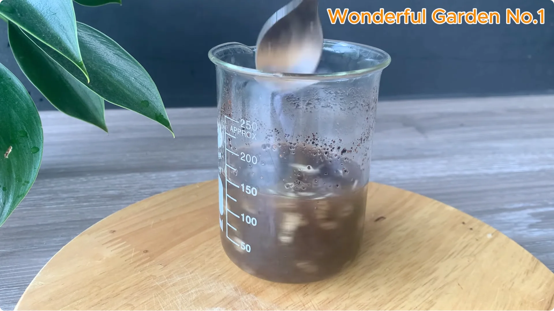 Why Is Just Lemon's Hip Branch Blooming So Beautifully? screenshot 6