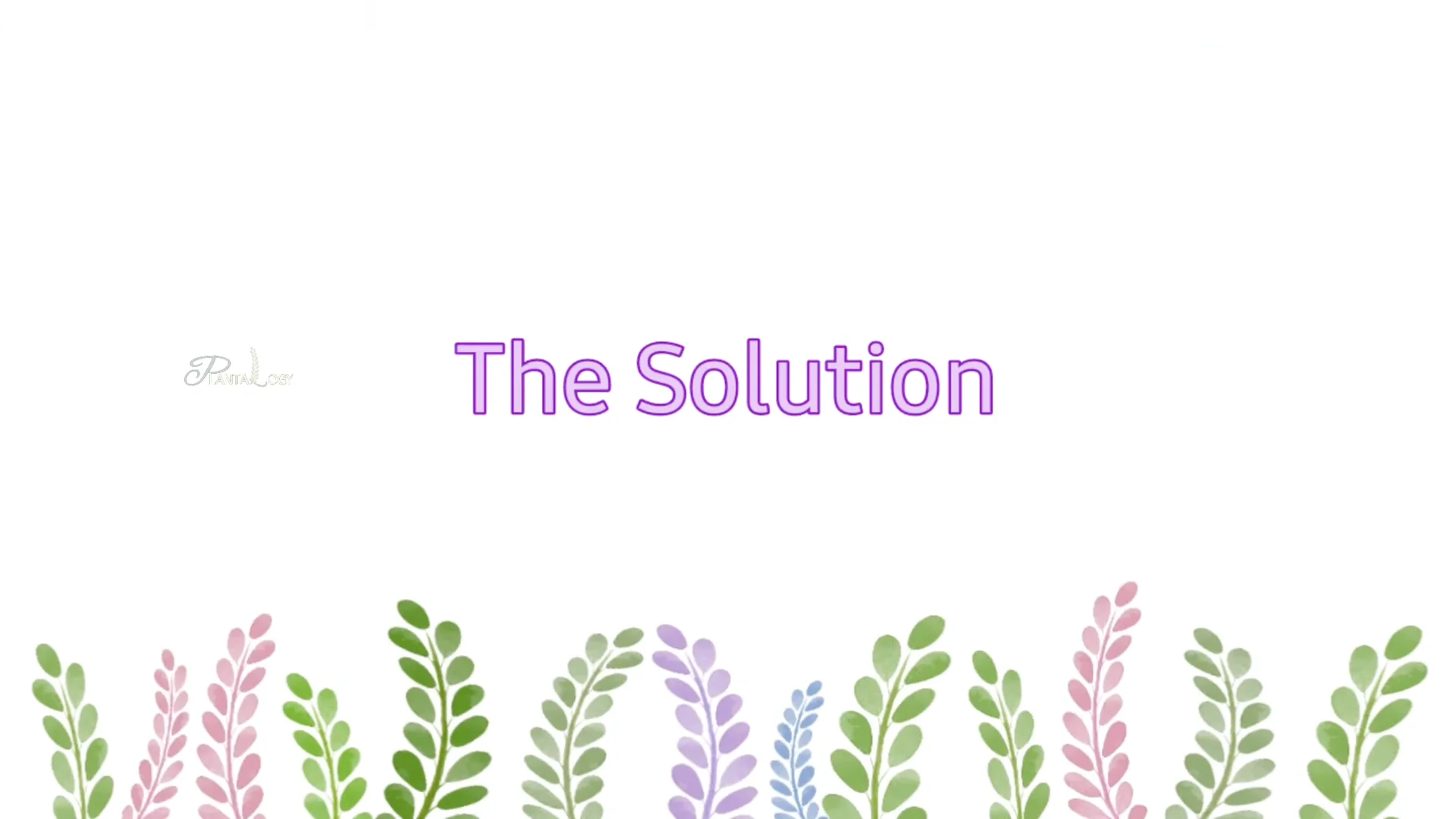 Why Is My Dracaena Plant Turning Yellow? Expert Care Tips screenshot 2