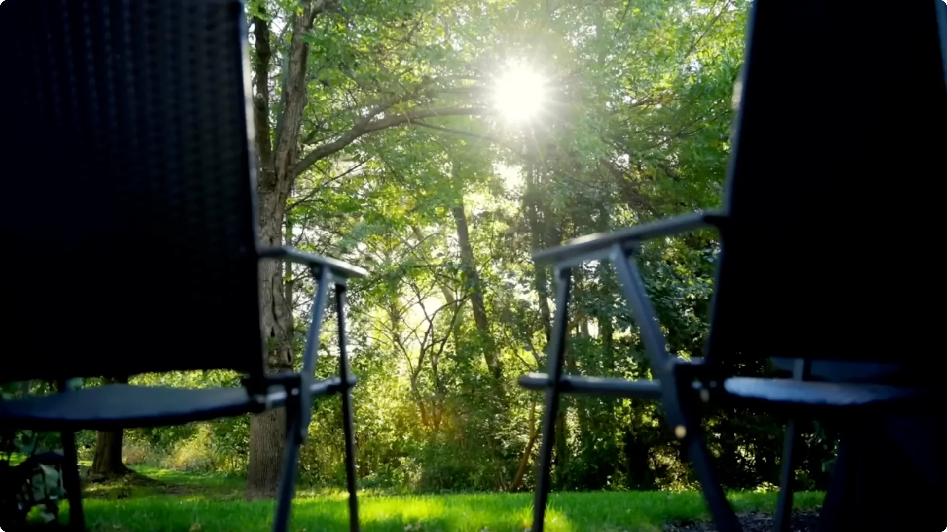 10 Backyard Landscaping Ideas That Transform Your Home Instantly screenshot 17