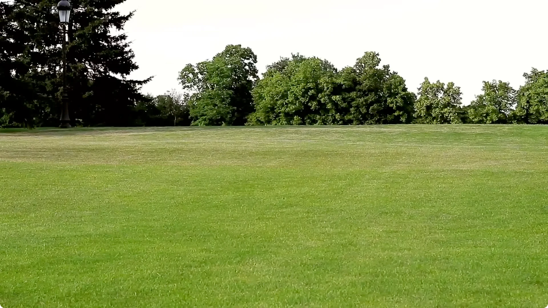 10 Backyard Landscaping Ideas That Transform Your Home Instantly screenshot 2