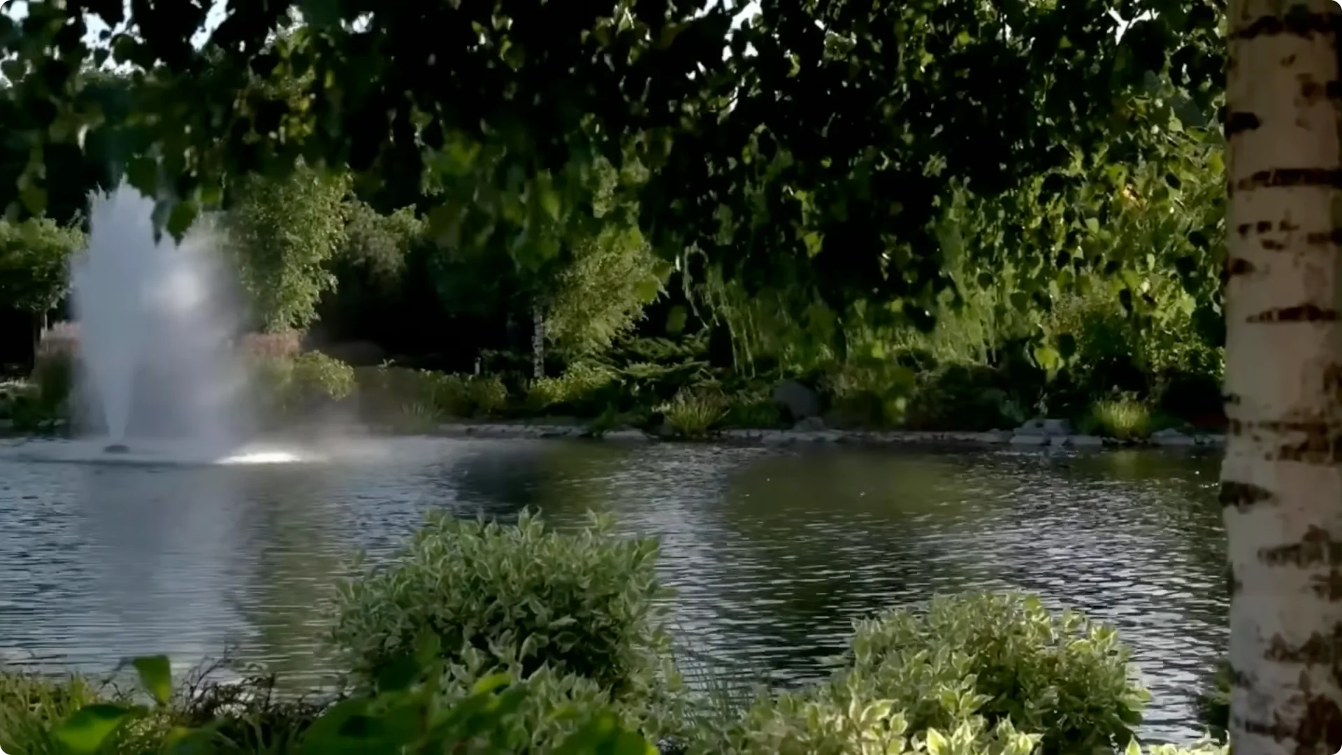 10 Backyard Landscaping Ideas That Transform Your Home Instantly screenshot 22