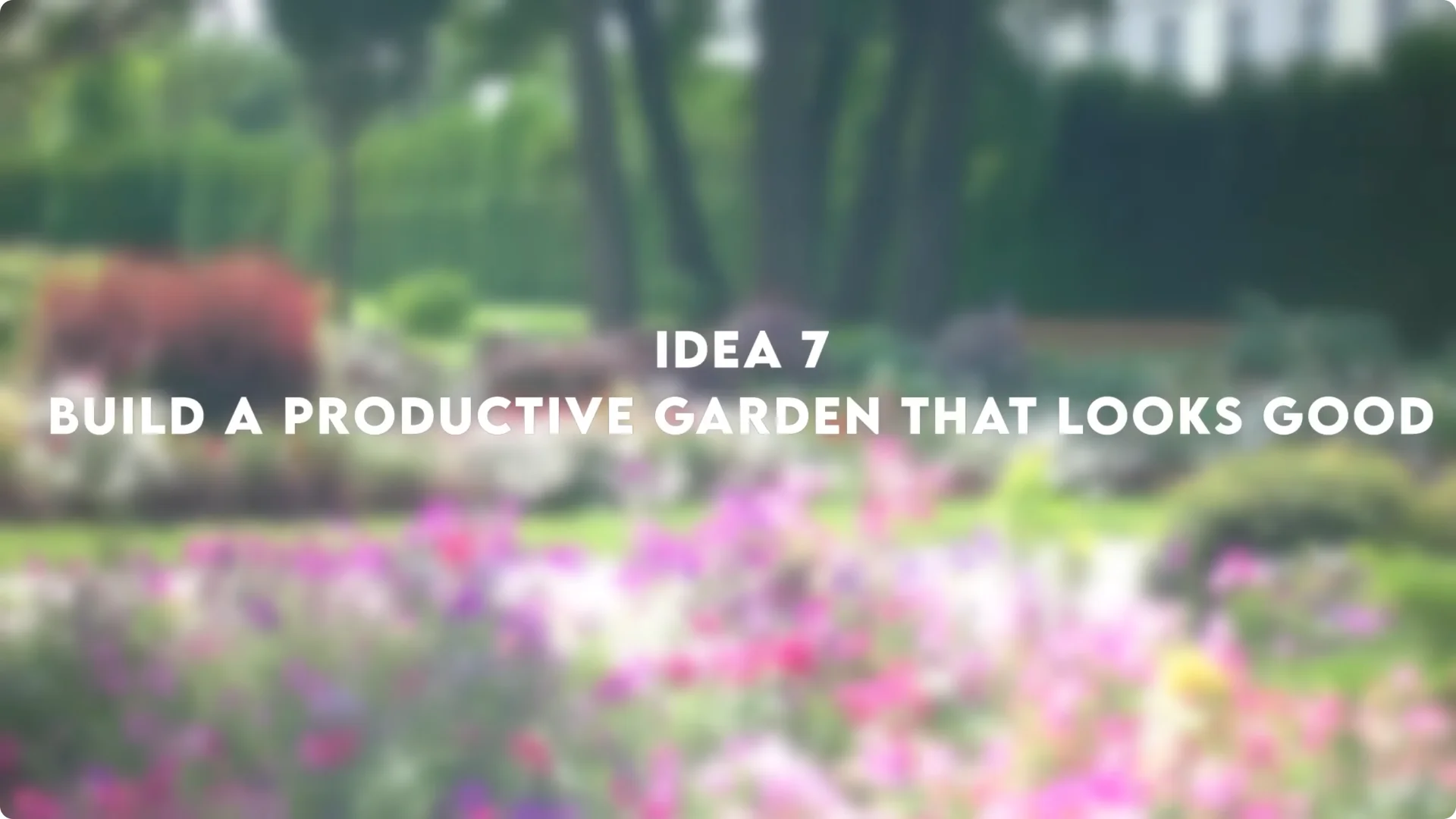 10 Backyard Landscaping Ideas That Transform Your Home Instantly screenshot 26