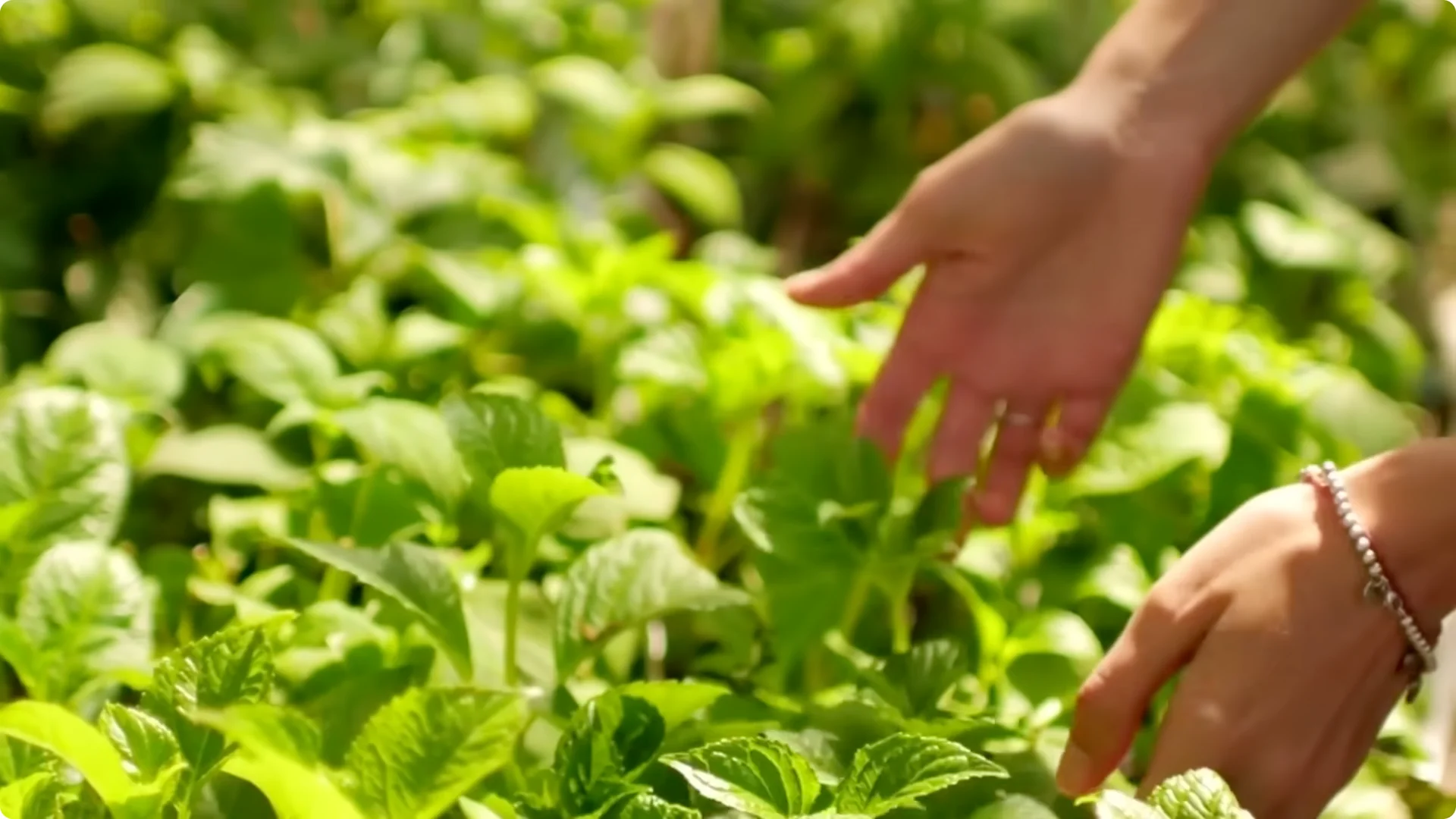 10 Backyard Landscaping Ideas That Transform Your Home Instantly screenshot 27