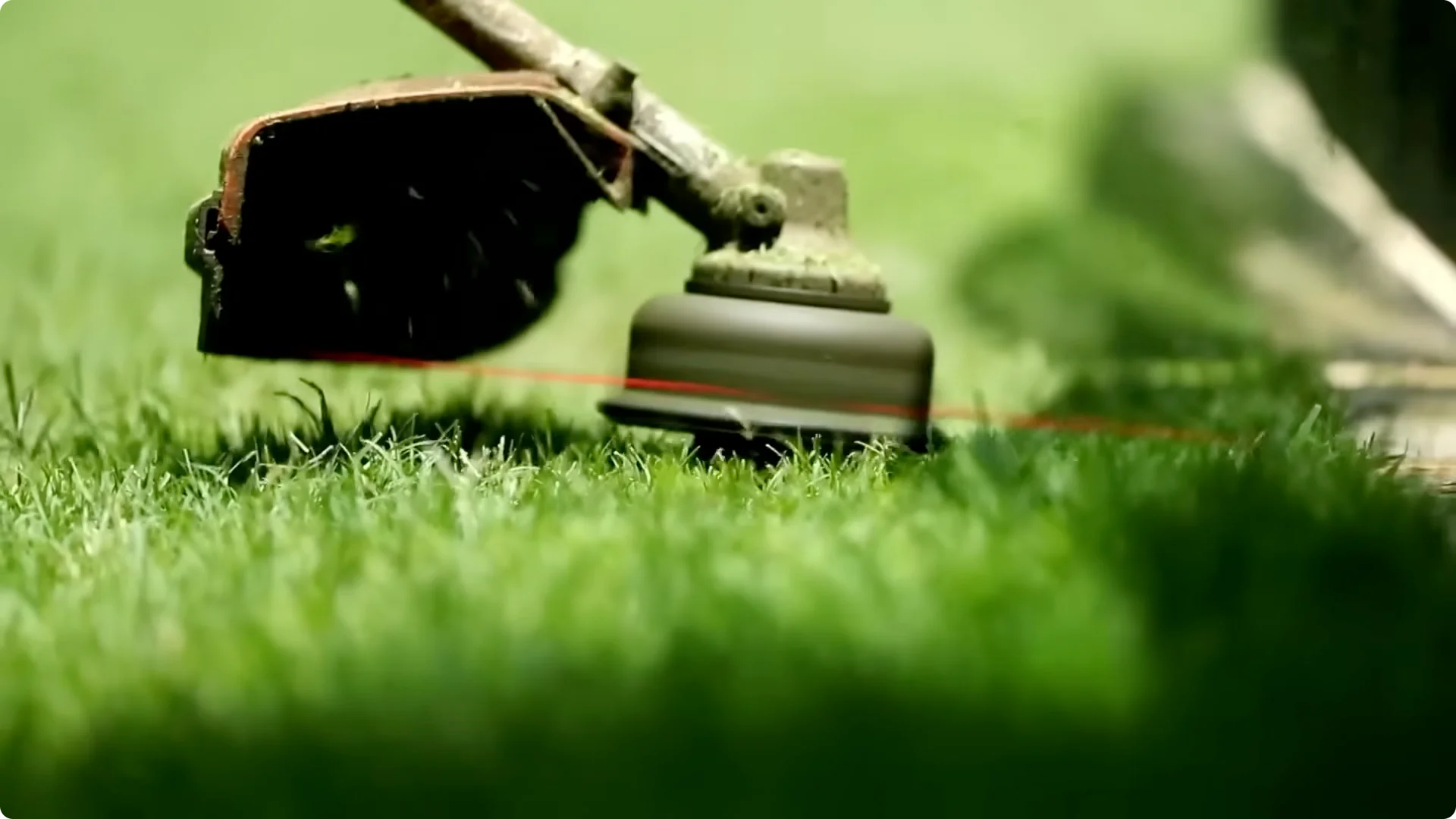 10 Backyard Landscaping Ideas That Transform Your Home Instantly screenshot 6