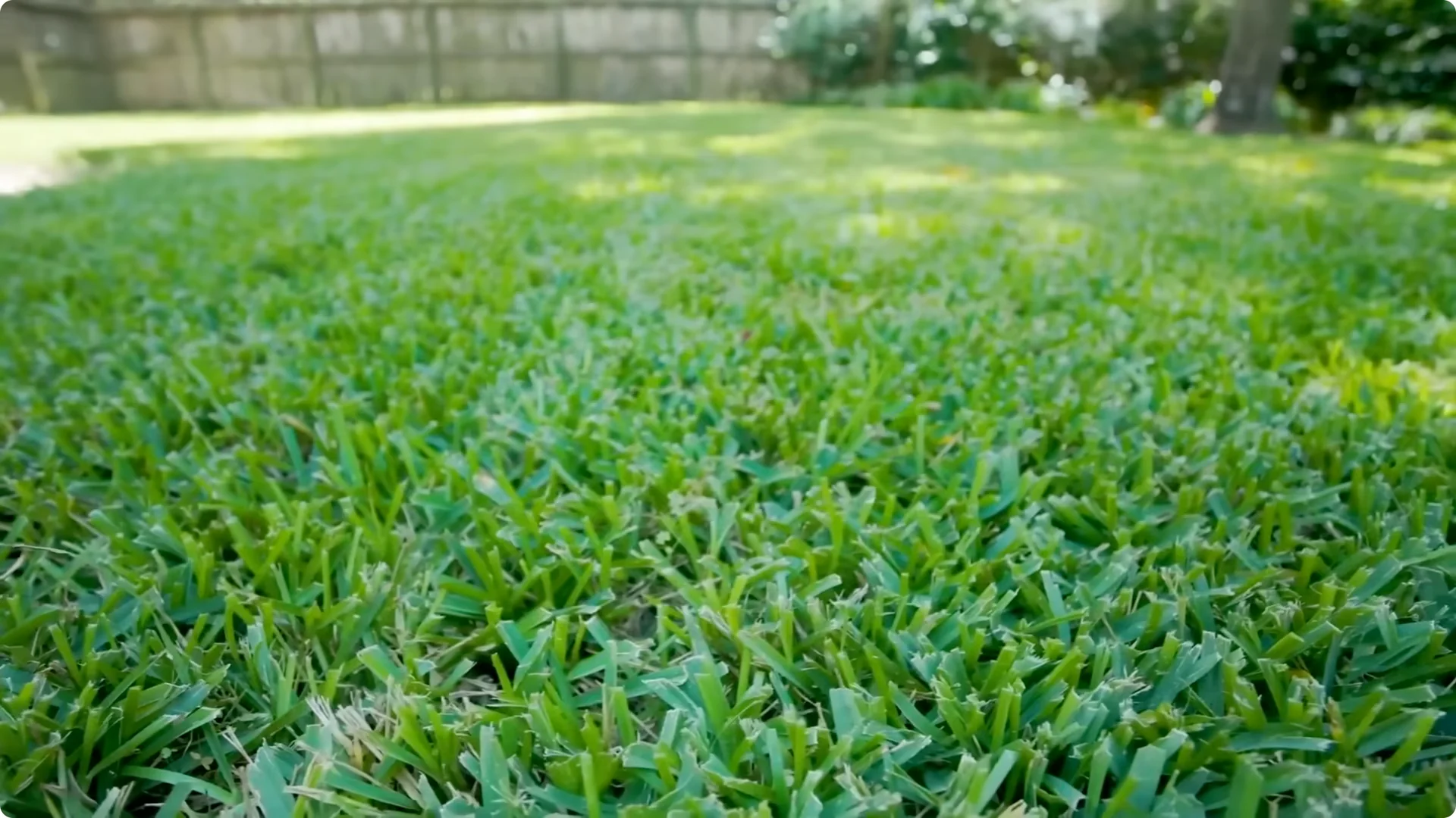 10 Backyard Landscaping Ideas That Transform Your Home Instantly screenshot 7