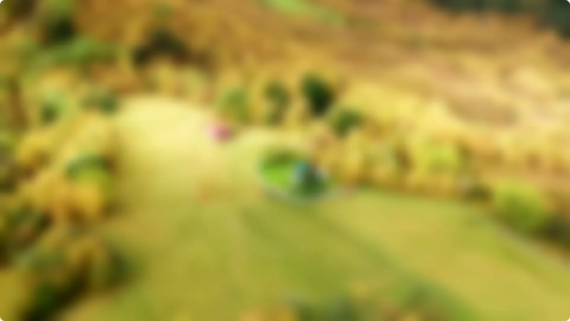 10 Backyard Landscaping Ideas That Transform Your Home Instantly screenshot 9