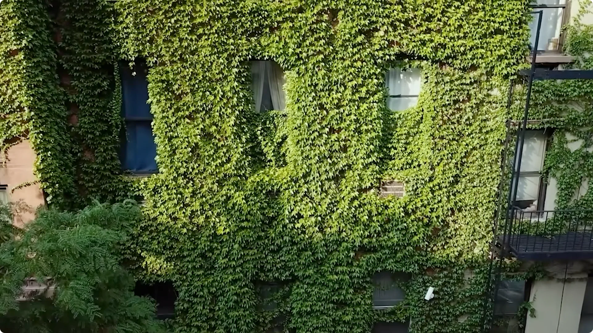 10 Garden Designs That May Lose Charm Over Time screenshot 2