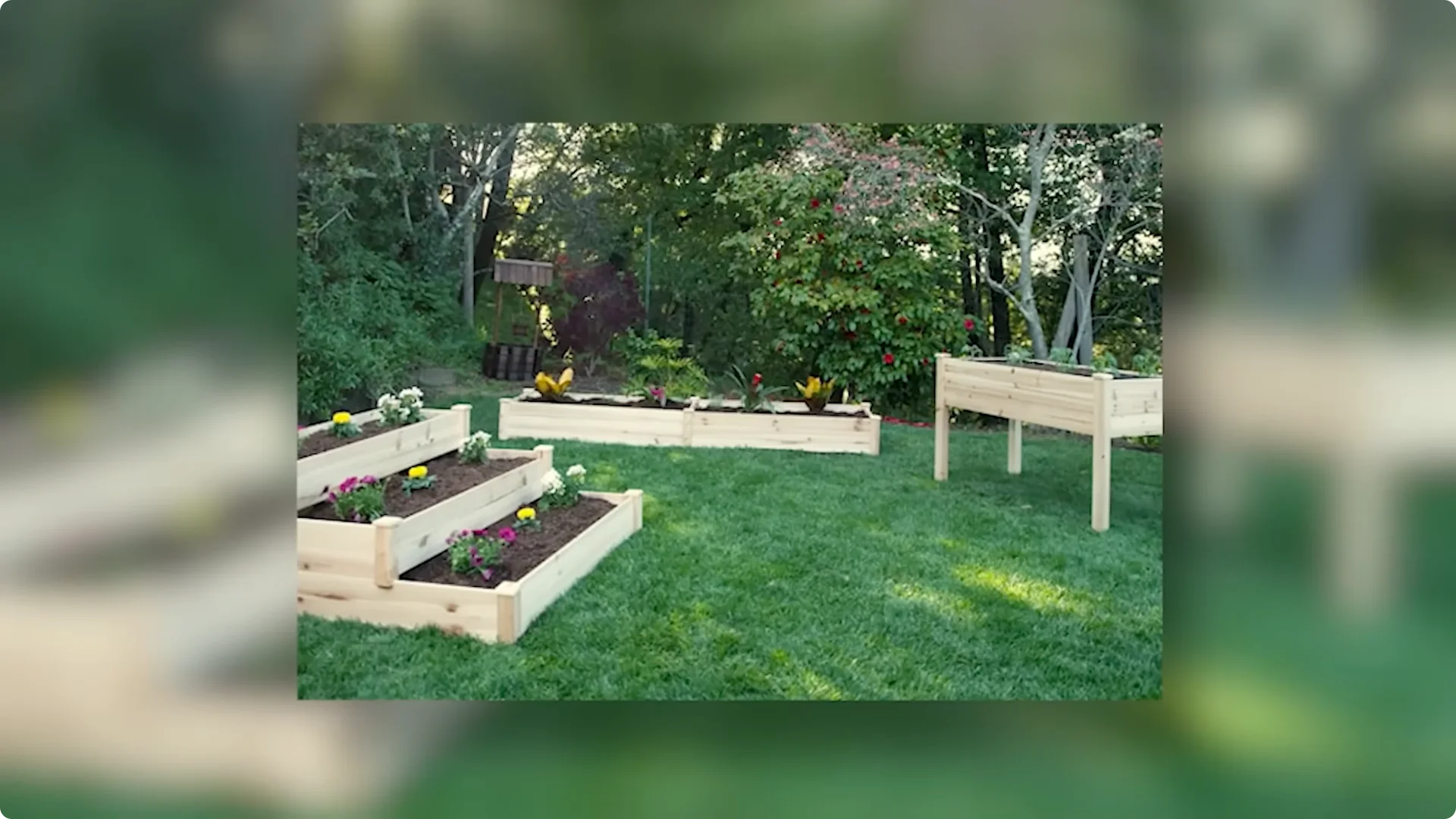 10 Garden Designs That May Lose Charm Over Time screenshot 3