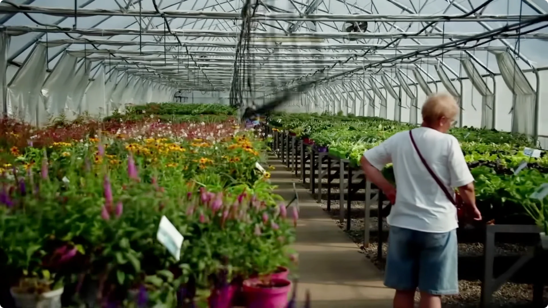 10 Garden Mistakes That Undermine Your Yard’s Appeal screenshot 1