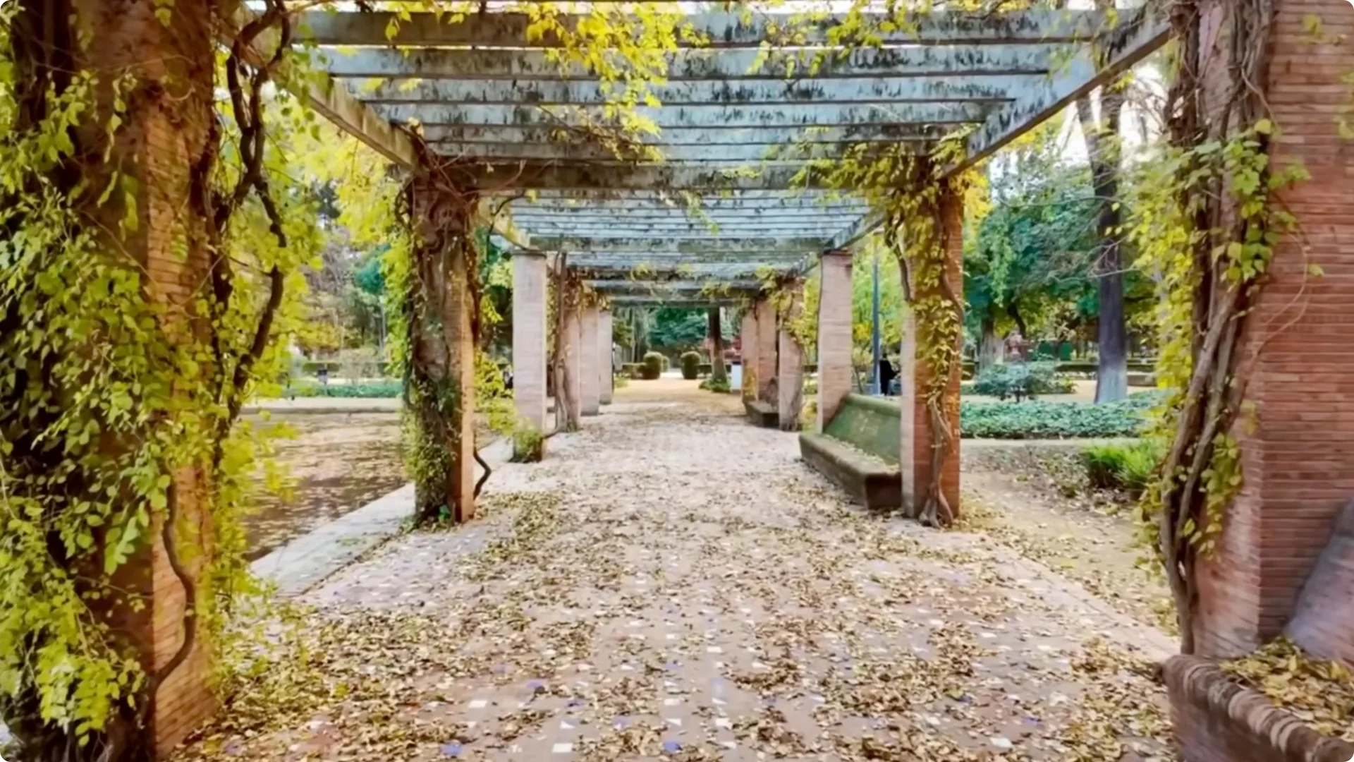 10 Garden Mistakes That Undermine Your Yard’s Appeal screenshot 3