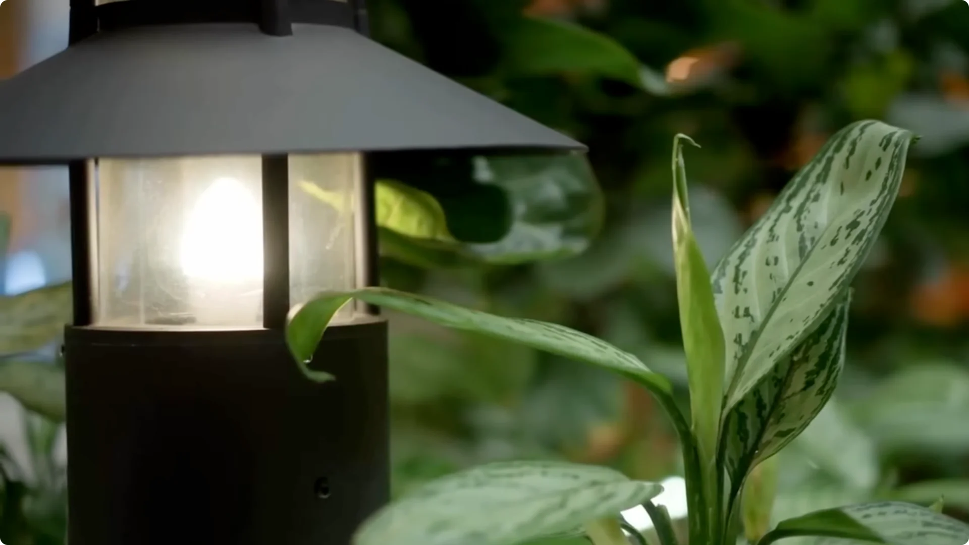 10 Garden Mistakes That Undermine Your Yard’s Appeal screenshot 4