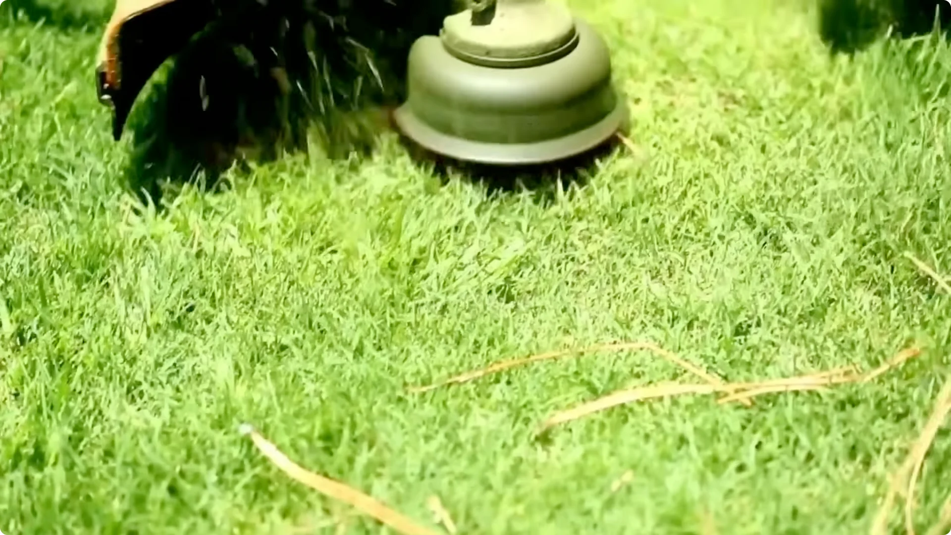 10 Garden Mistakes That Undermine Your Yard’s Appeal screenshot 6