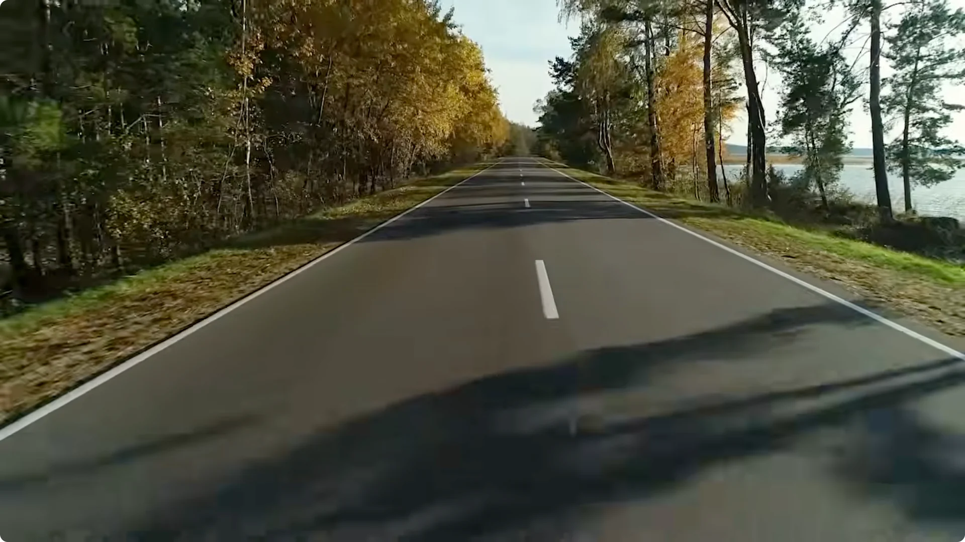 10 Plants That Can Instantly Transform Your Garden This Summer screenshot 1