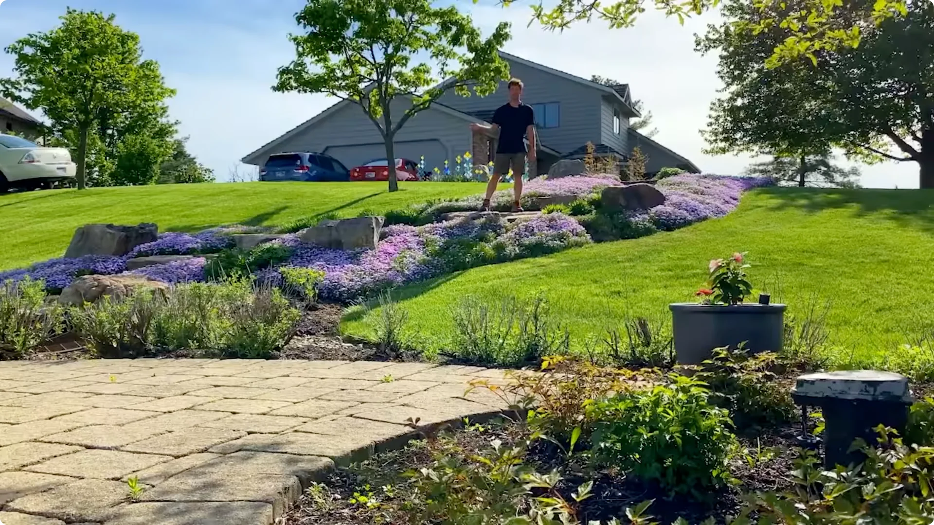 10 Plants That Can Instantly Transform Your Garden This Summer screenshot 17