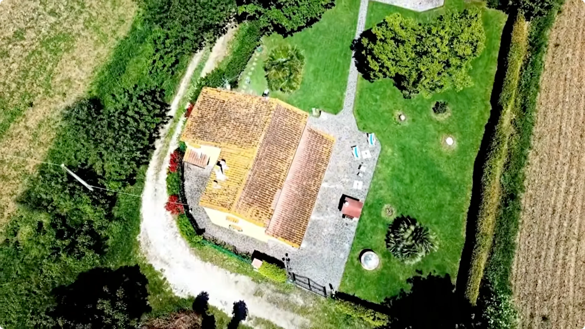 10 Plants That Can Instantly Transform Your Garden This Summer screenshot 22