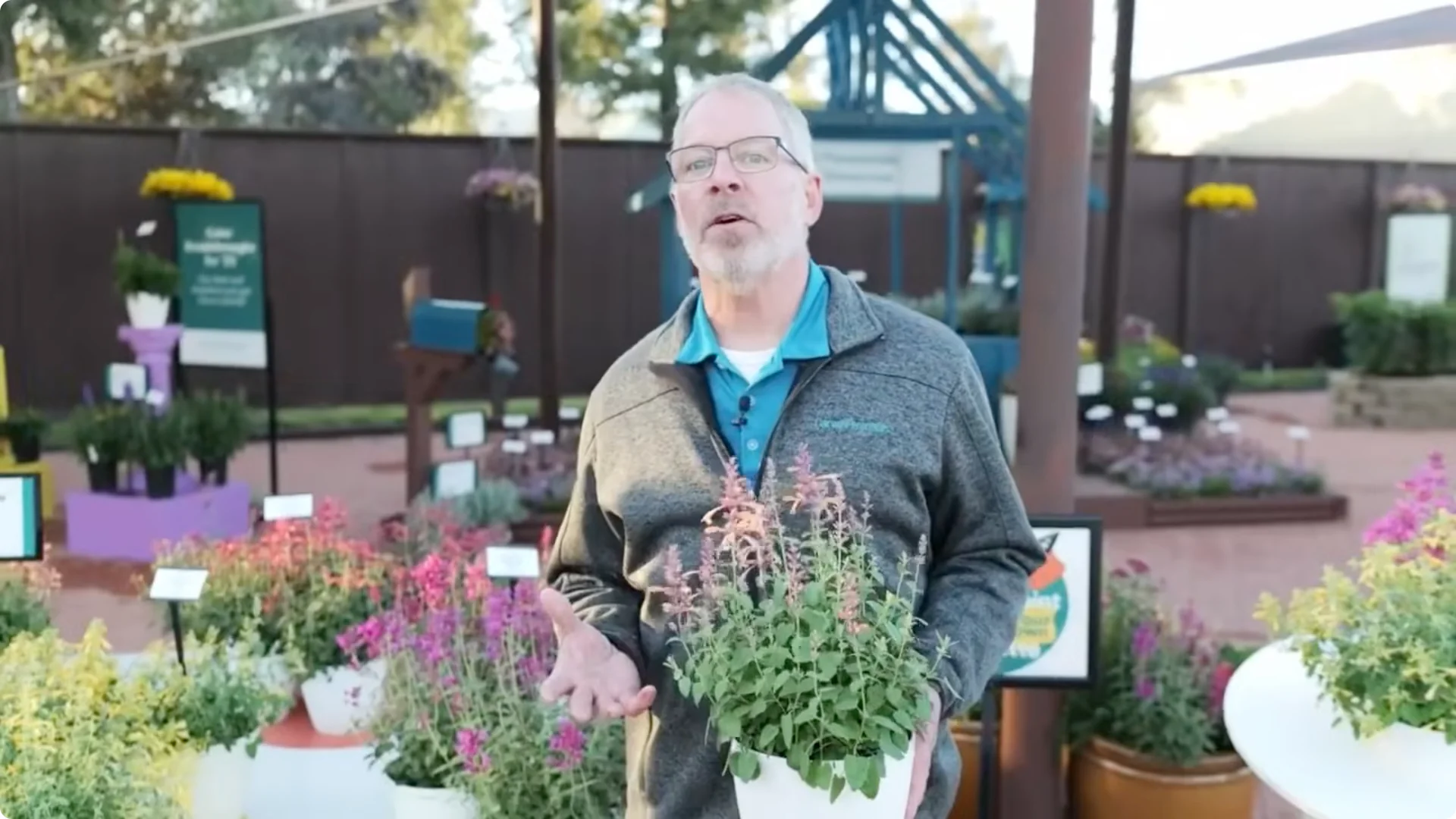 10 Plants That Can Instantly Transform Your Garden This Summer screenshot 24