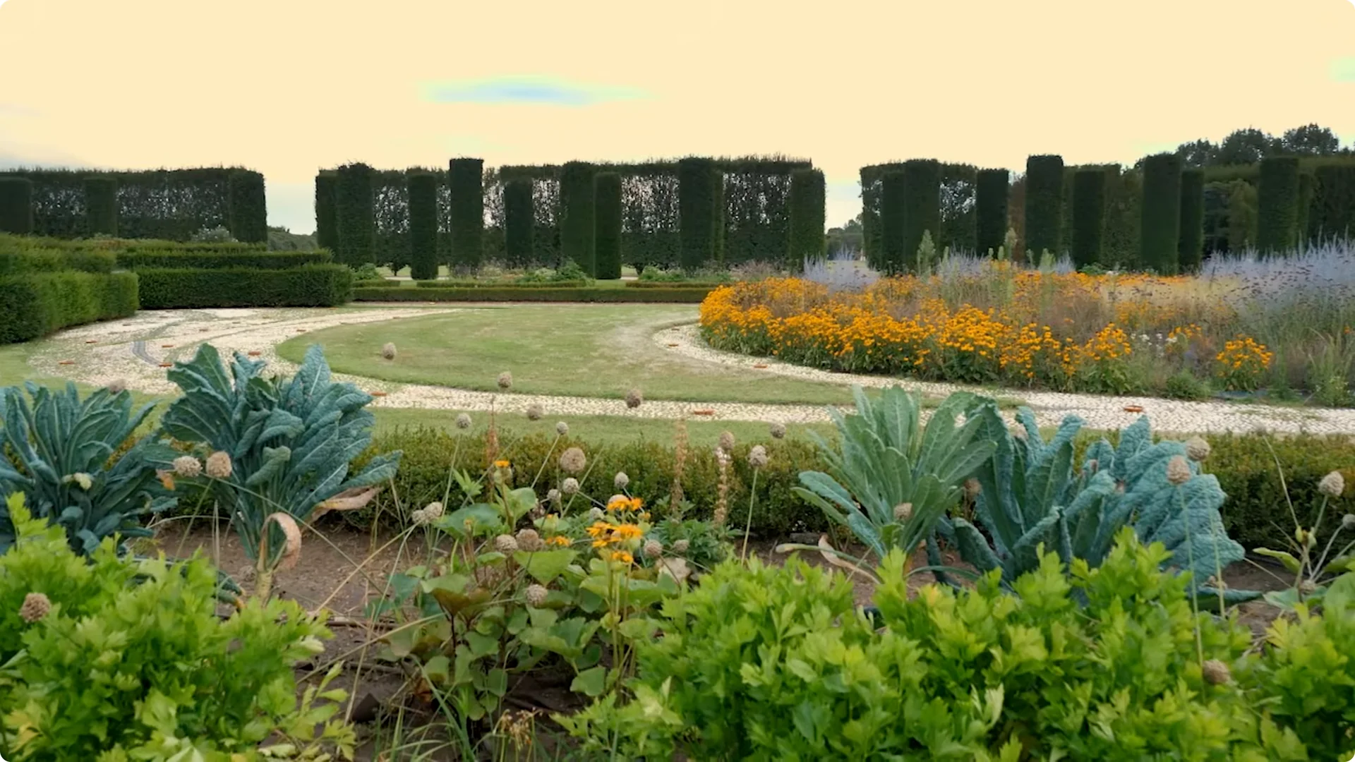 10 Plants That Can Instantly Transform Your Garden This Summer screenshot 7