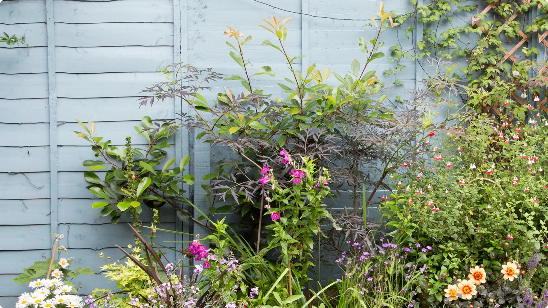 10 Small Garden Ideas That Feel Luxurious Without the Cost screenshot 3