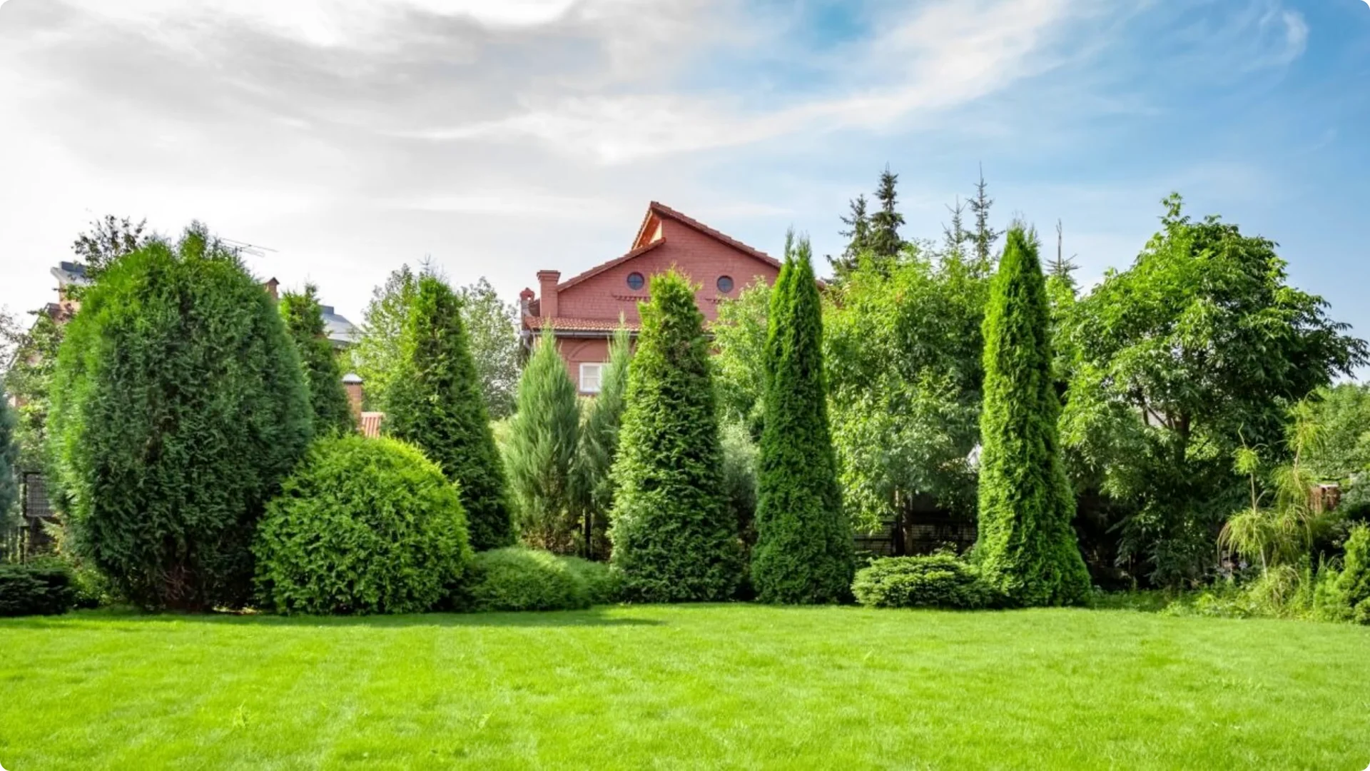 10 Small Garden Ideas That Feel Luxurious Without the Cost screenshot 5