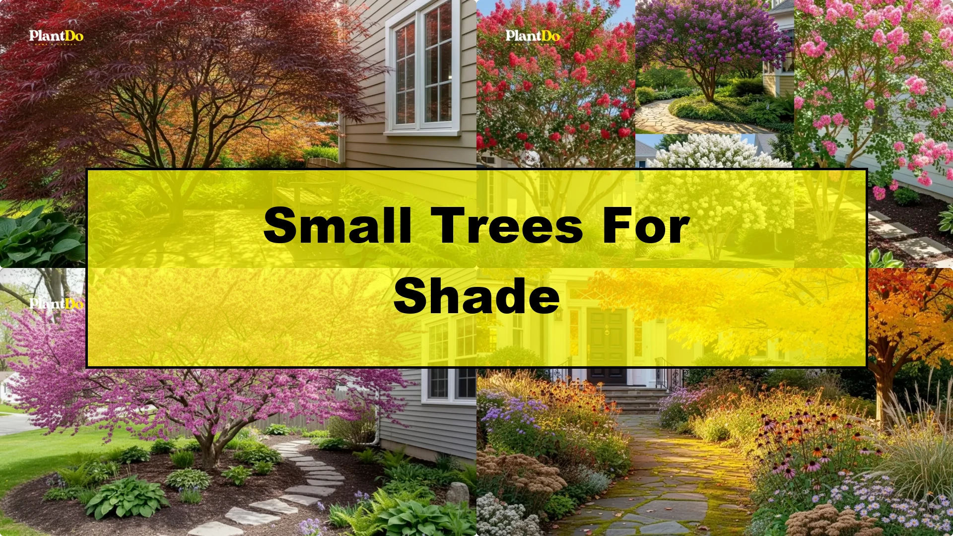 7 Small Trees That Offer Perfect Shade Without Overgrowing - Featured Image