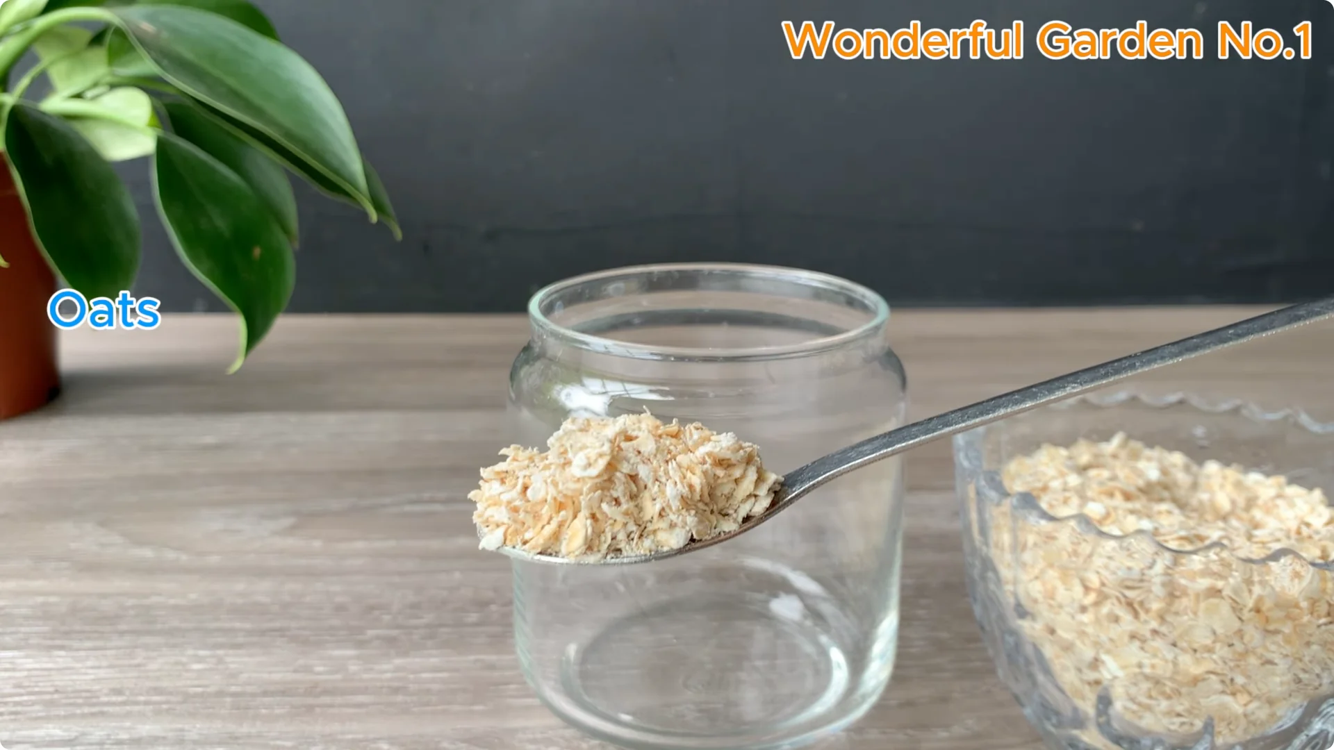 How 1 Spoon Helps Rose Branches Grow and Bloom Quickly screenshot 1